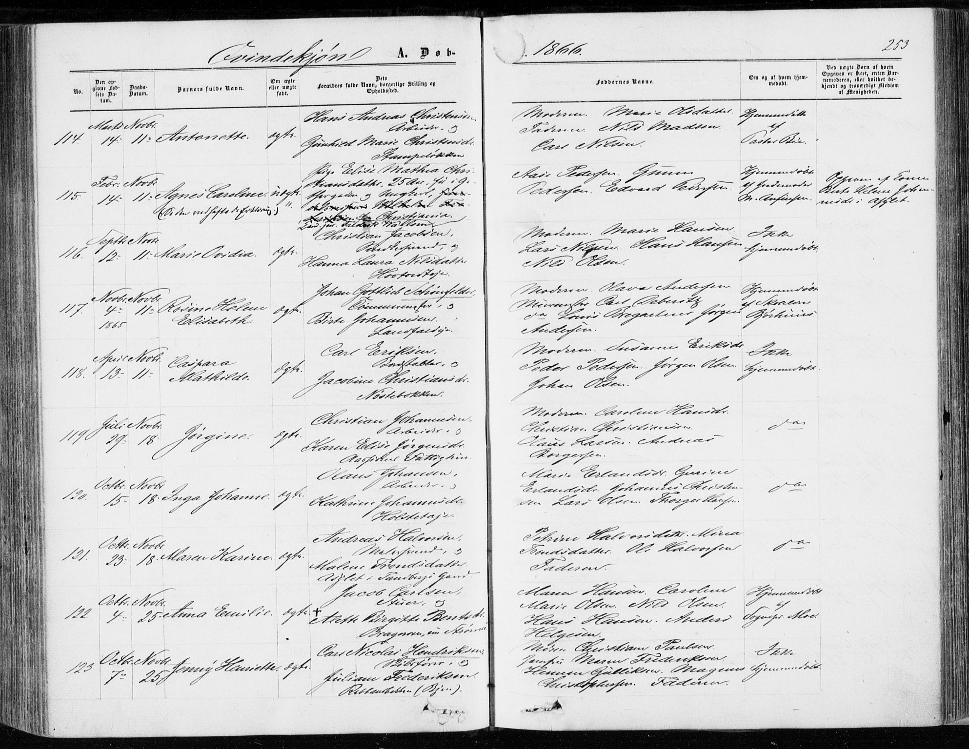 Bragernes kirkebøker, AV/SAKO-A-6/F/Fb/L0003: Parish register (official) no. II 3, 1860-1868, p. 253