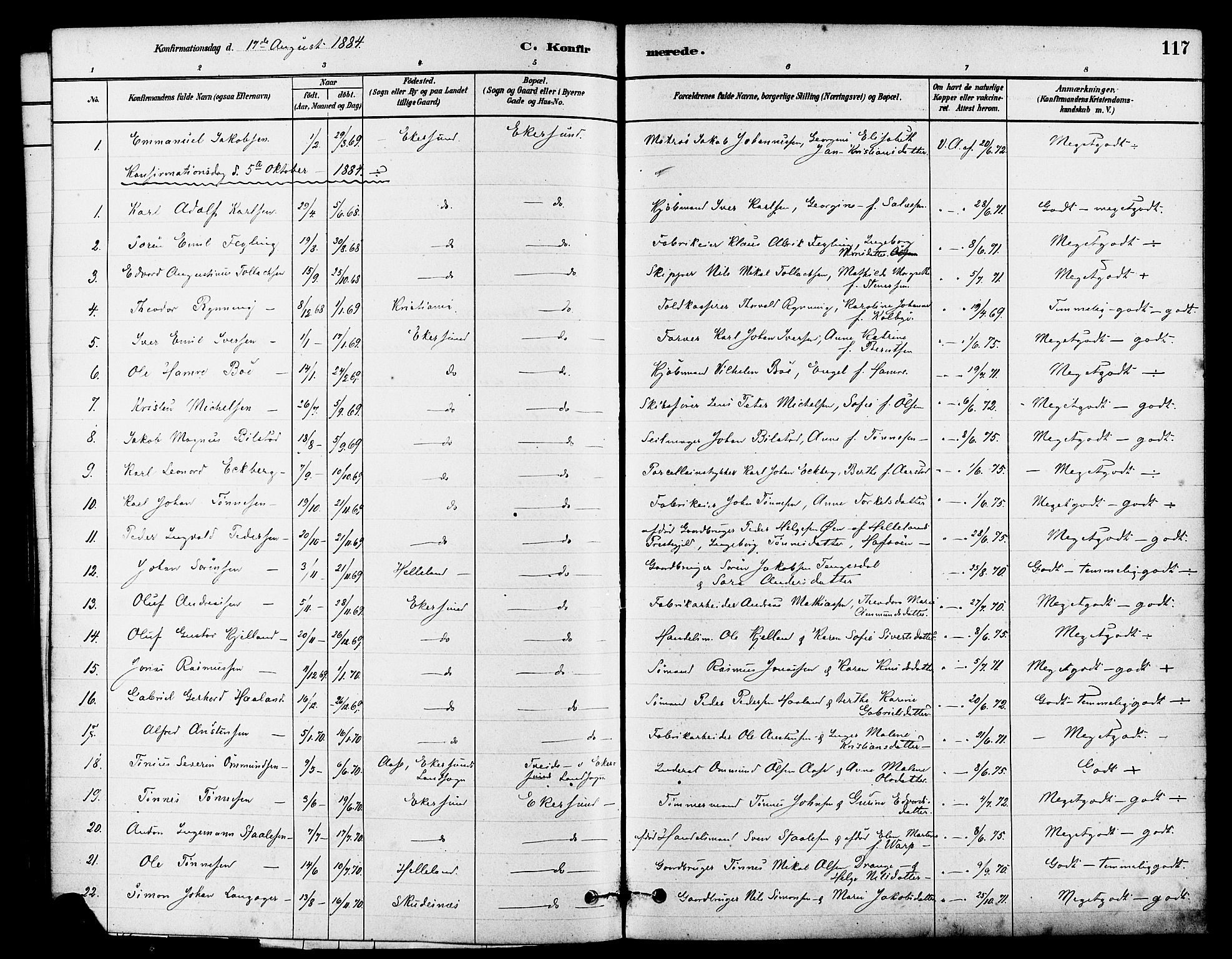 Eigersund sokneprestkontor, SAST/A-101807/S08/L0015: Parish register (official) no. A 15, 1879-1892, p. 117