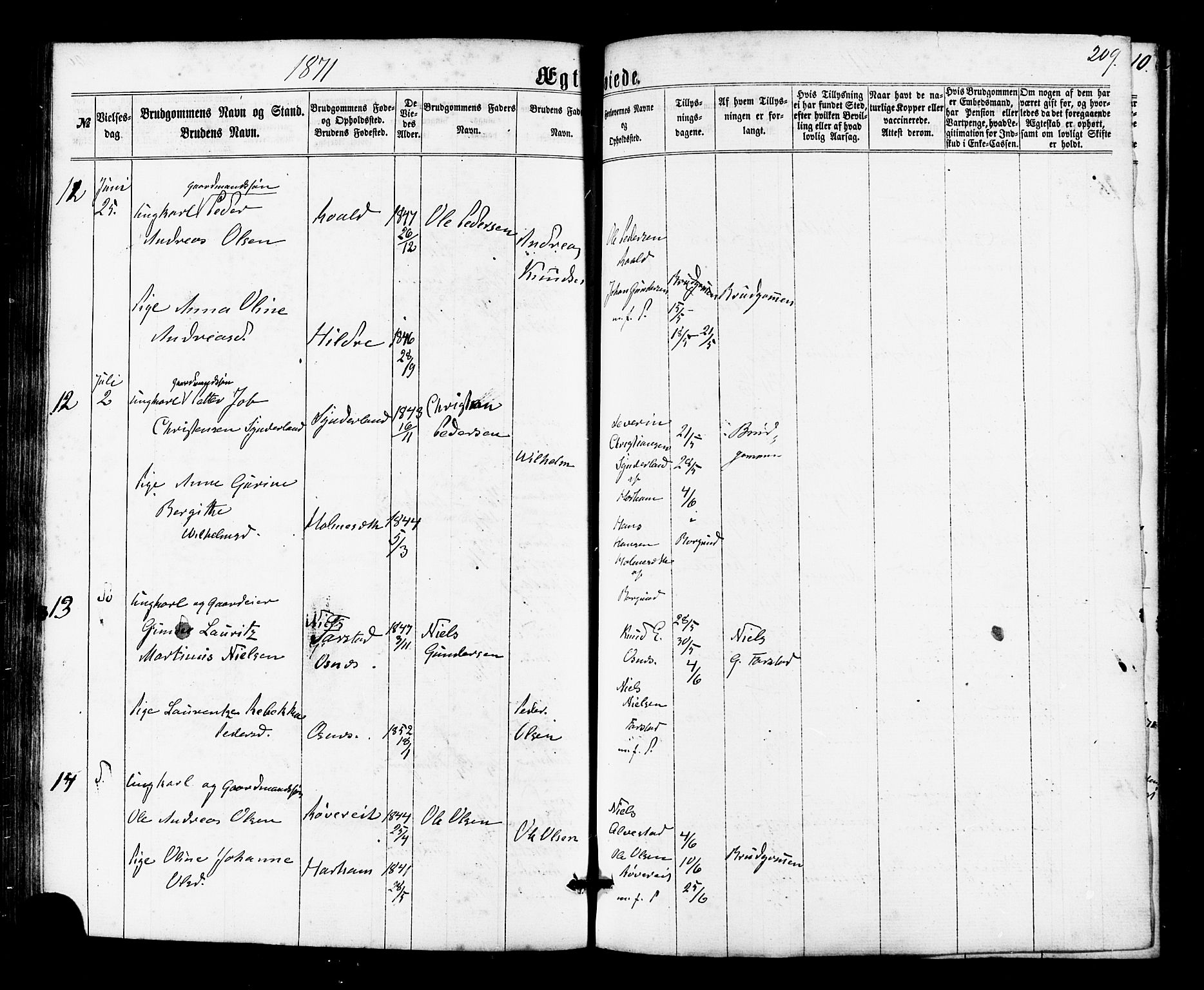 Ministerialprotokoller, klokkerbøker og fødselsregistre - Møre og Romsdal, AV/SAT-A-1454/536/L0498: Parish register (official) no. 536A07, 1862-1875, p. 209