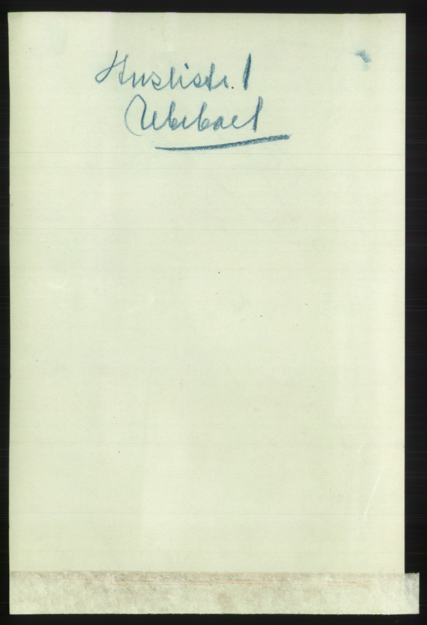 RA, 1891 census for 0101 Fredrikshald, 1891, p. 11369