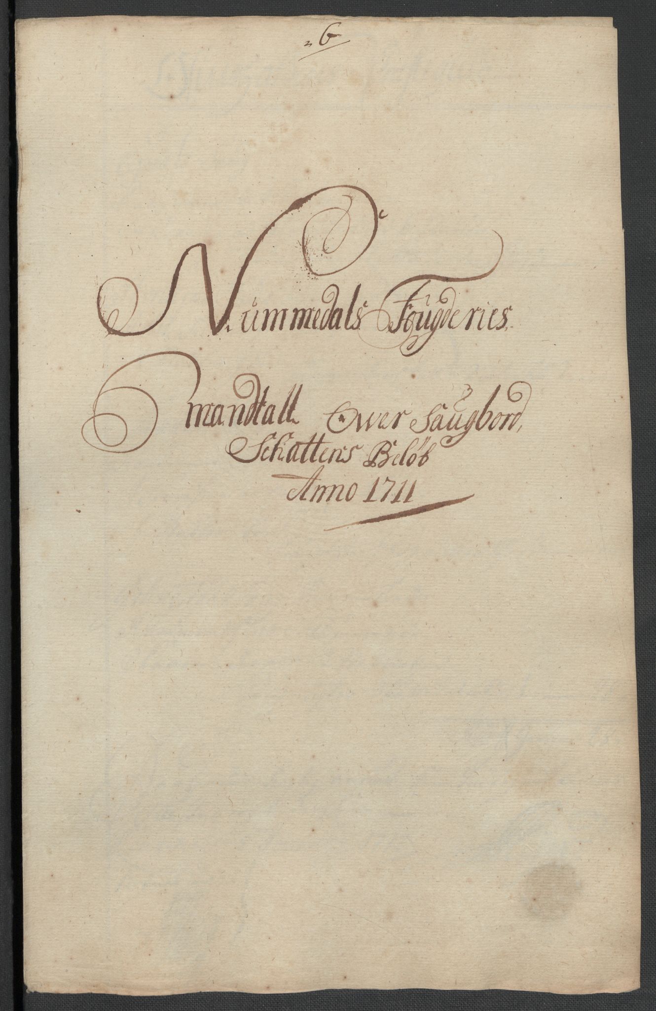 Rentekammeret inntil 1814, Reviderte regnskaper, Fogderegnskap, RA/EA-4092/R64/L4432: Fogderegnskap Namdal, 1711, p. 111