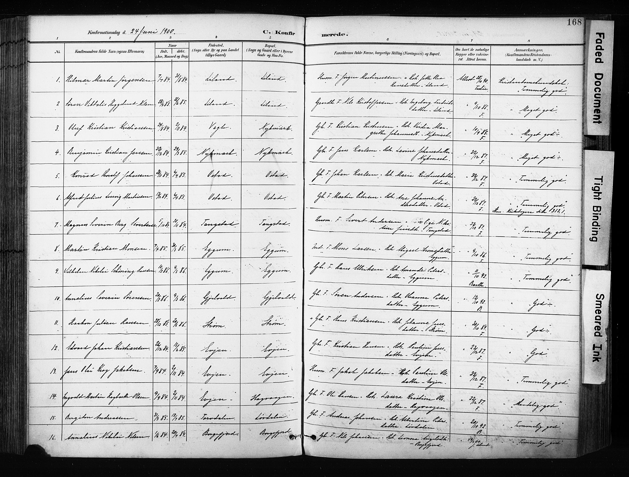 Ministerialprotokoller, klokkerbøker og fødselsregistre - Nordland, AV/SAT-A-1459/880/L1134: Parish register (official) no. 880A08, 1899-1908, p. 168