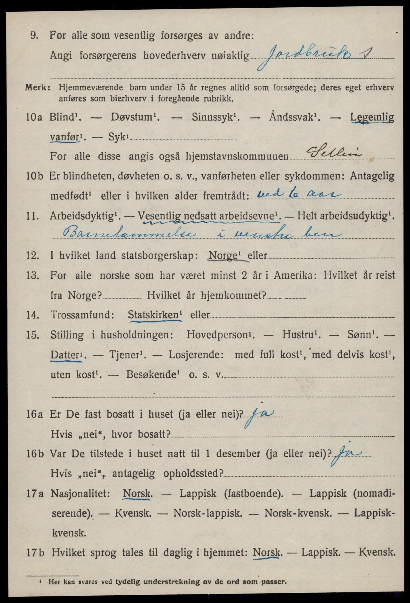 SAT, 1920 census for Selbu, 1920, p. 2773