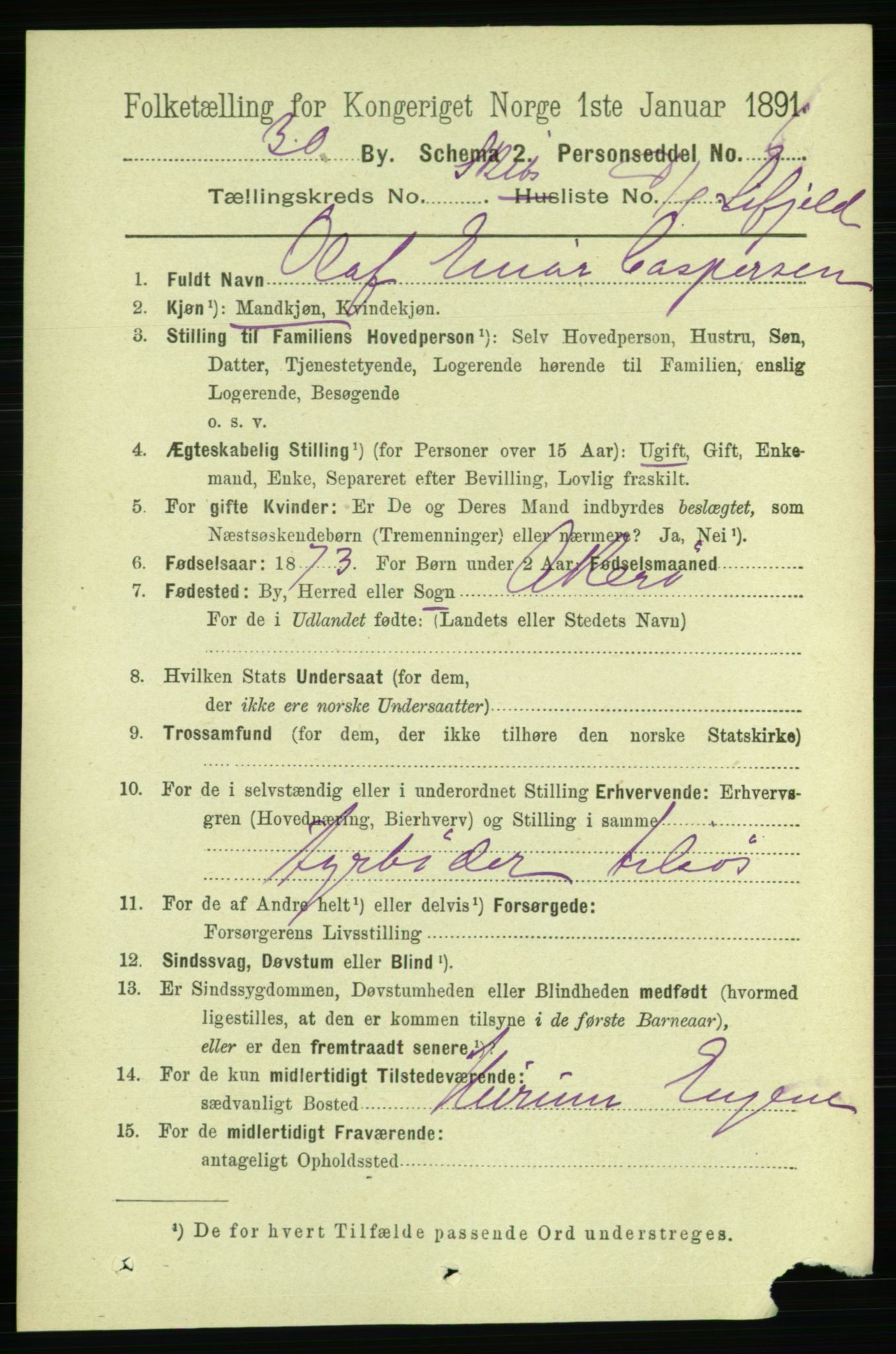 RA, 1891 census for 0806 Skien, 1891, p. 11515