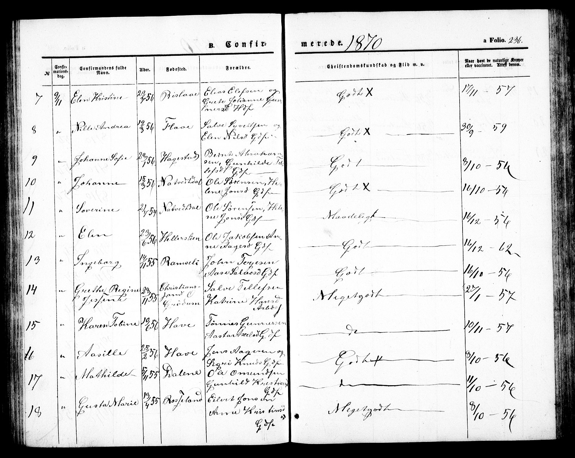 Birkenes sokneprestkontor, AV/SAK-1111-0004/F/Fb/L0002: Parish register (copy) no. B 2, 1849-1876, p. 236