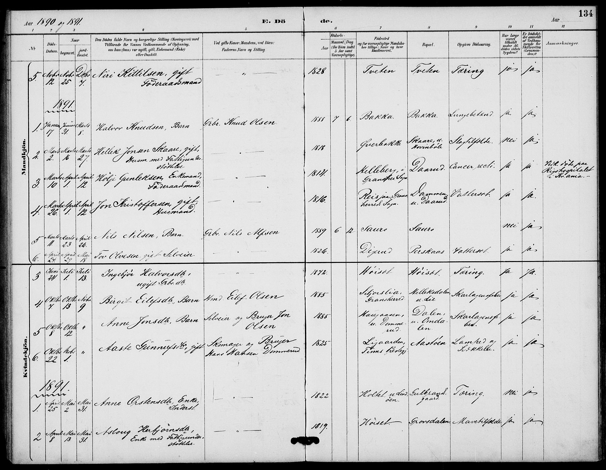 Gransherad kirkebøker, SAKO/A-267/F/Fb/L0005: Parish register (official) no. II 5, 1887-1916, p. 134