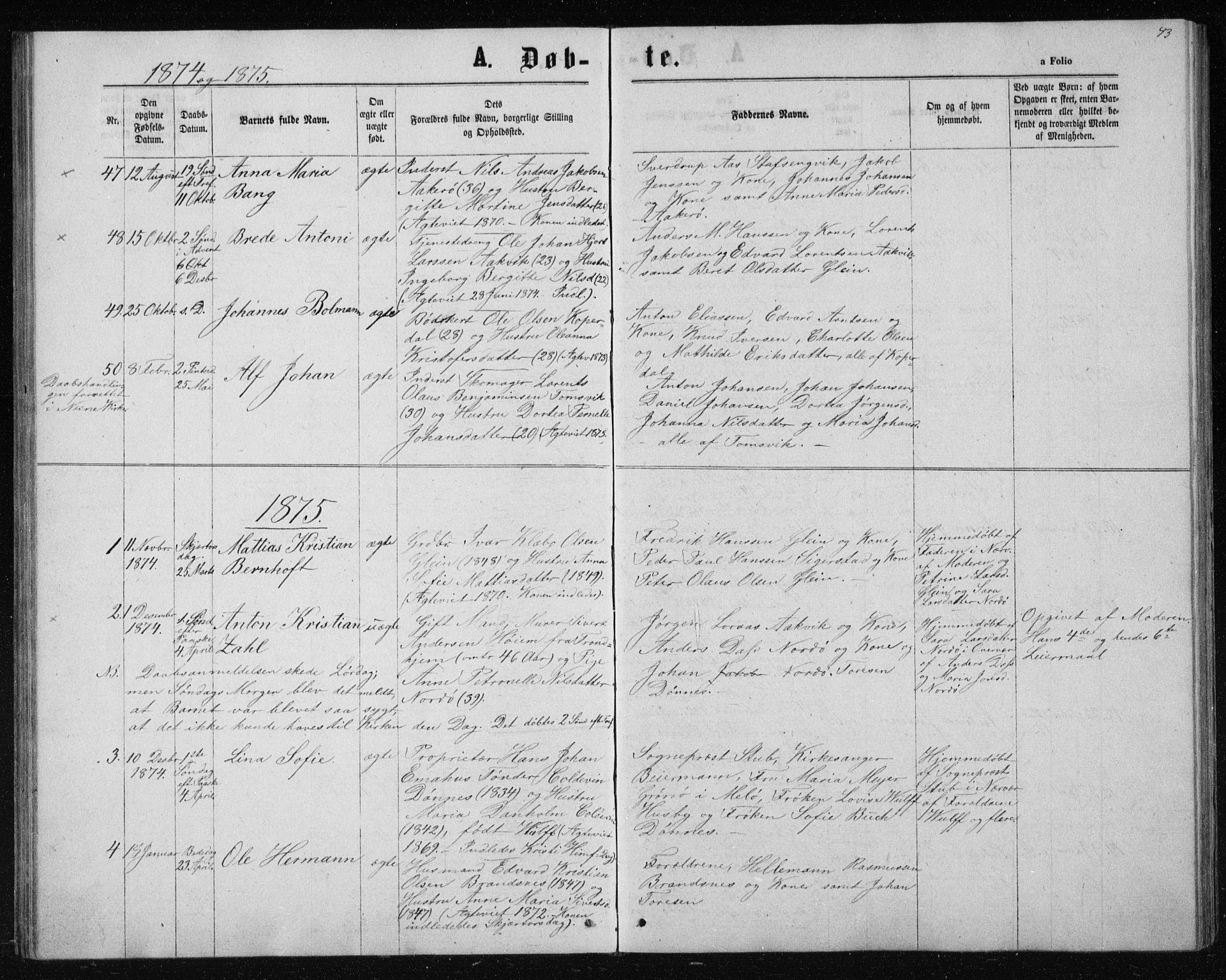 Ministerialprotokoller, klokkerbøker og fødselsregistre - Nordland, SAT/A-1459/835/L0531: Parish register (copy) no. 835C03, 1865-1877, p. 43