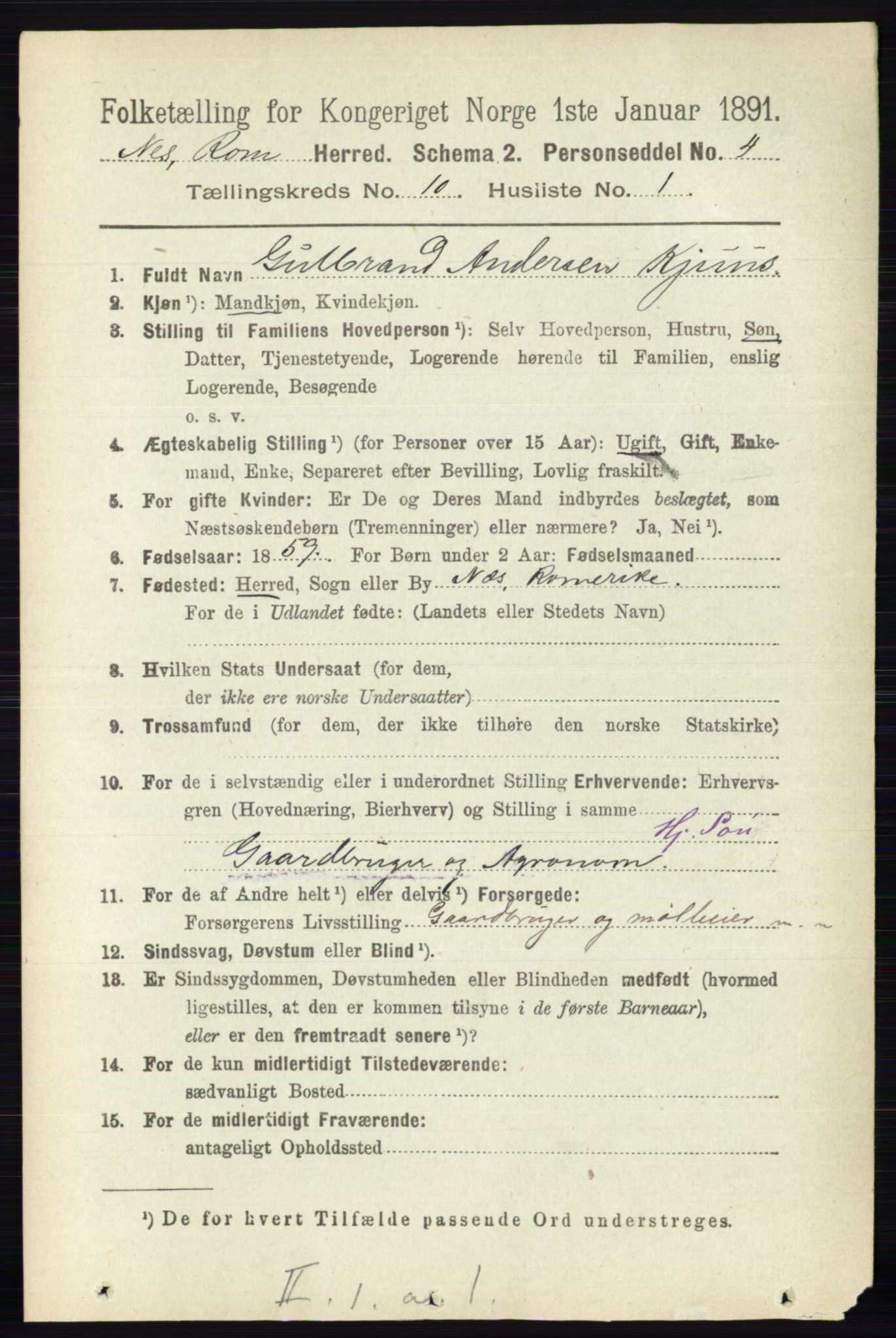 RA, 1891 census for 0236 Nes, 1891, p. 5793