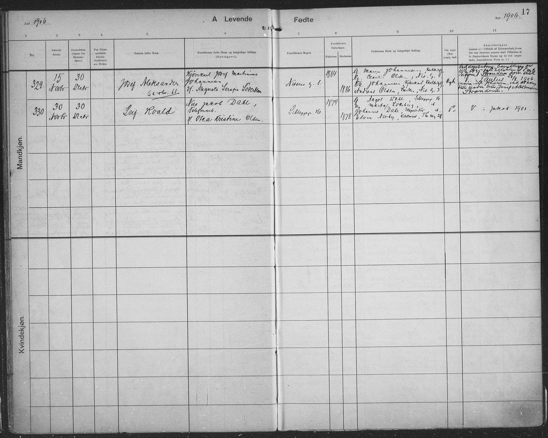 Paulus prestekontor Kirkebøker, AV/SAO-A-10871/F/Fa/L0019: Parish register (official) no. 19, 1906-1911, p. 17