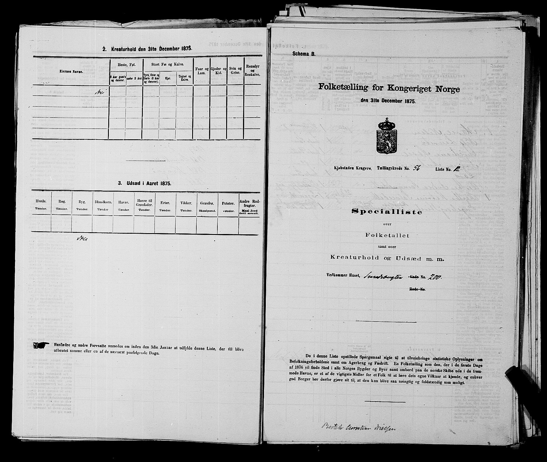 SAKO, 1875 census for 0801P Kragerø, 1875, p. 1260