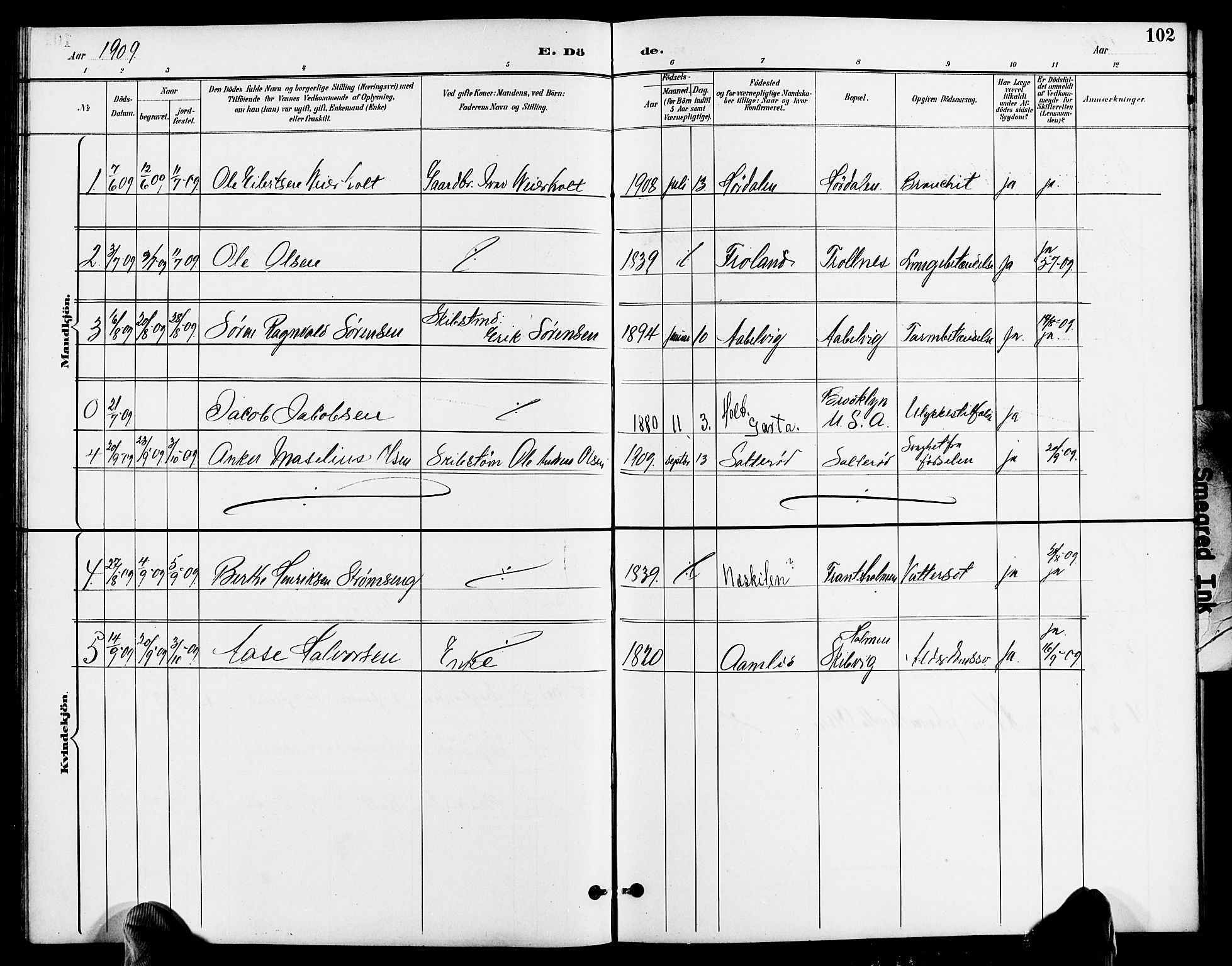 Austre Moland sokneprestkontor, SAK/1111-0001/F/Fb/Fbb/L0002: Parish register (copy) no. B 2, 1894-1918, p. 102