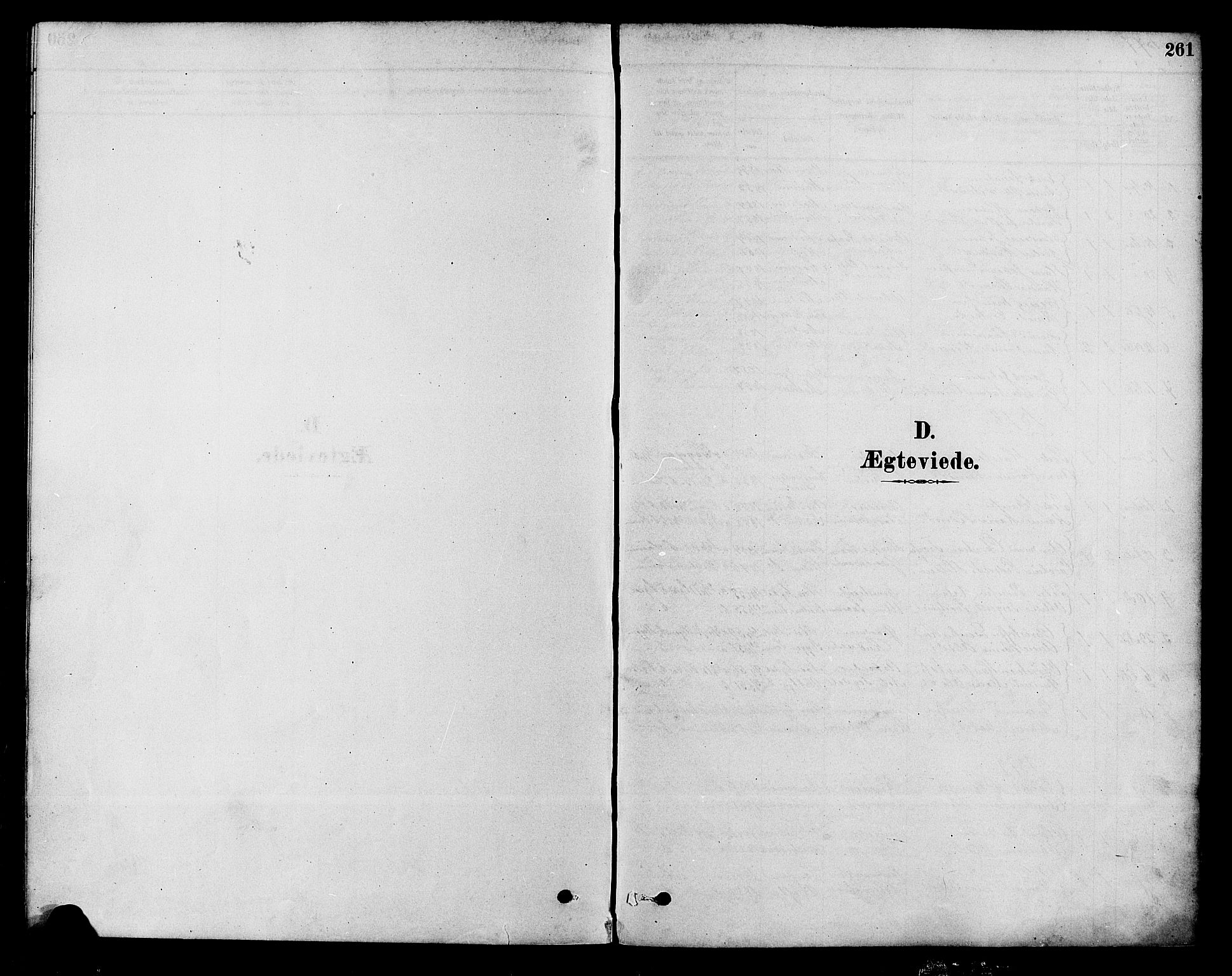 Modum kirkebøker, AV/SAKO-A-234/F/Fa/L0015: Parish register (official) no. 15 /2, 1877-1889, p. 261