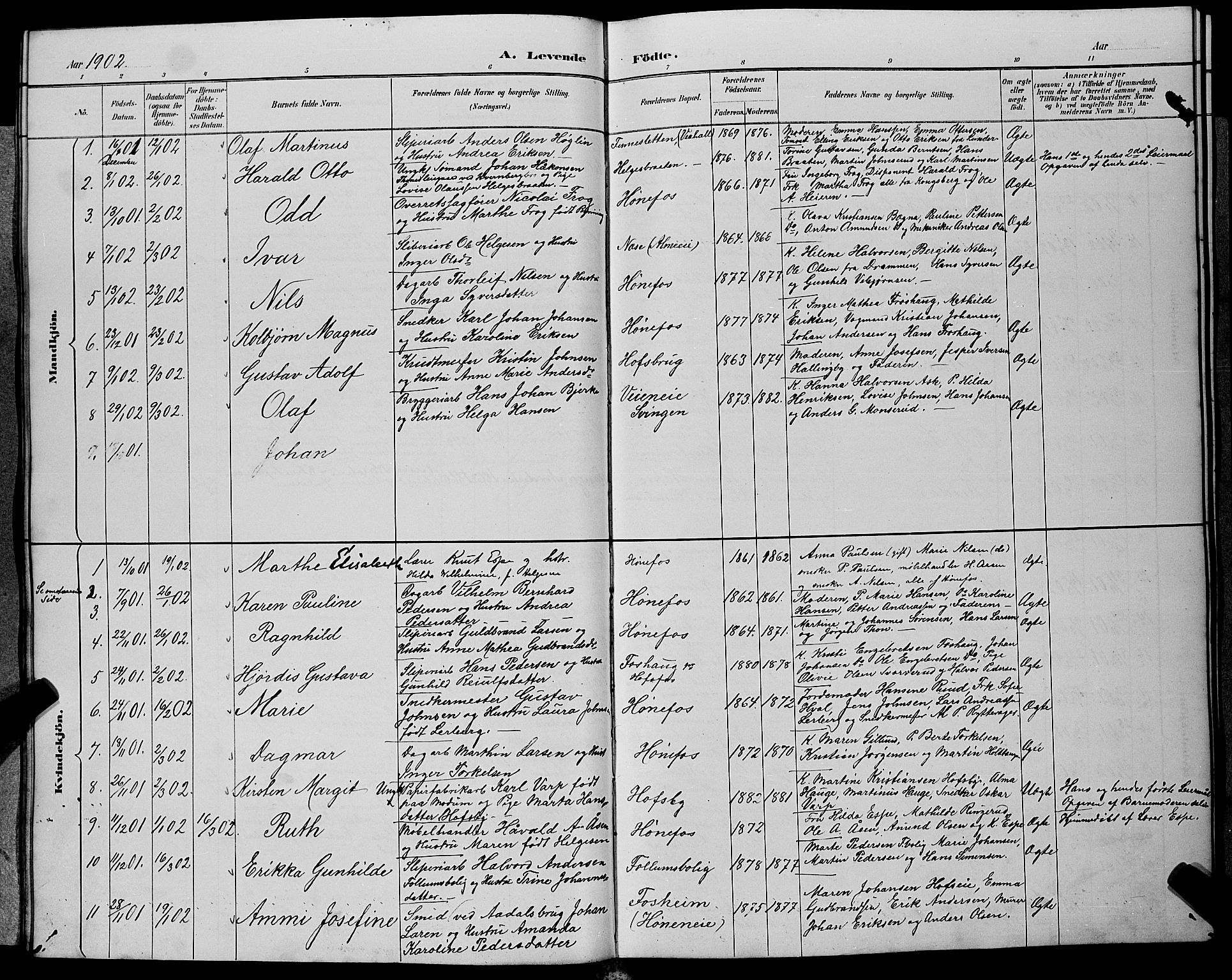 Hønefoss kirkebøker, SAKO/A-609/G/Ga/L0002: Parish register (copy) no. 2, 1888-1904