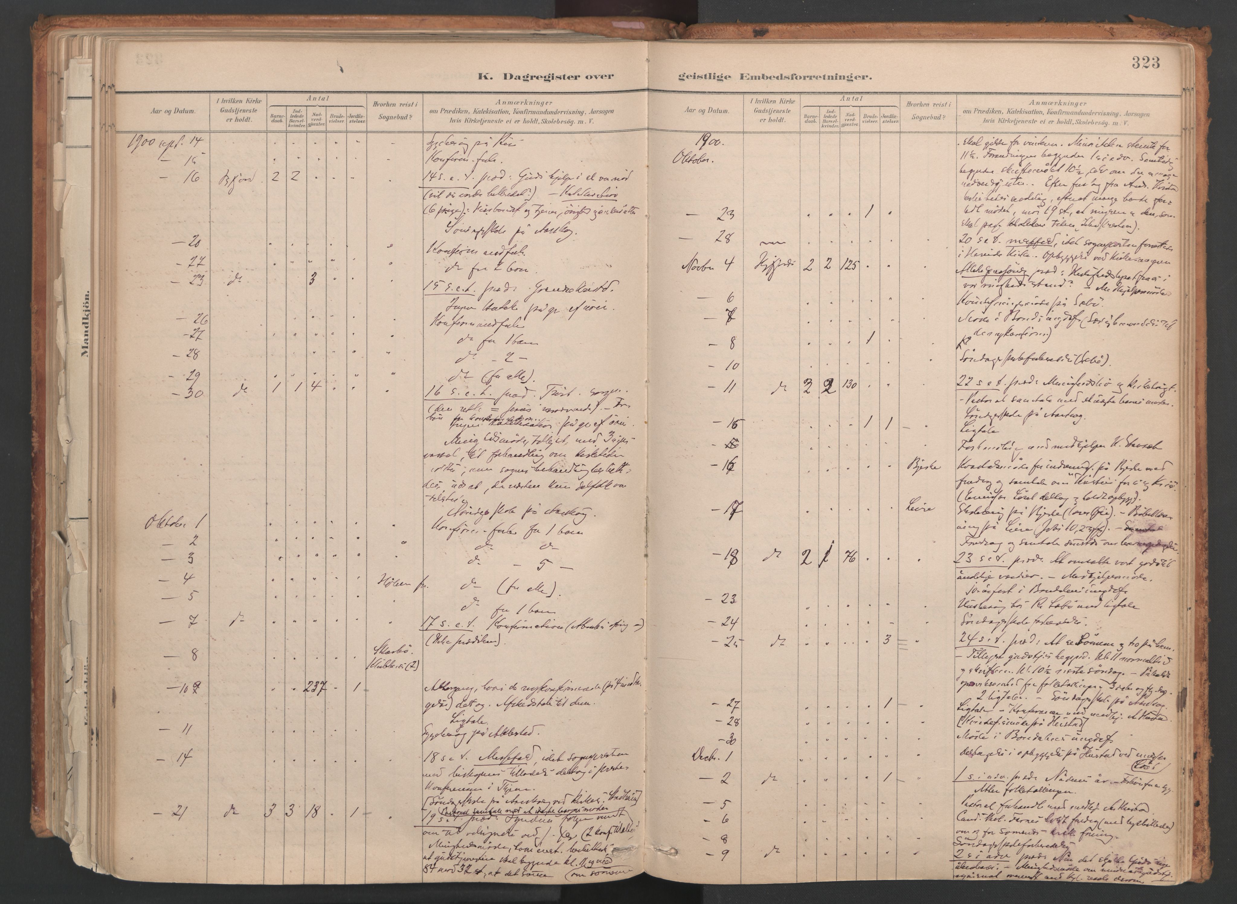 Ministerialprotokoller, klokkerbøker og fødselsregistre - Møre og Romsdal, SAT/A-1454/515/L0211: Parish register (official) no. 515A07, 1886-1910, p. 323