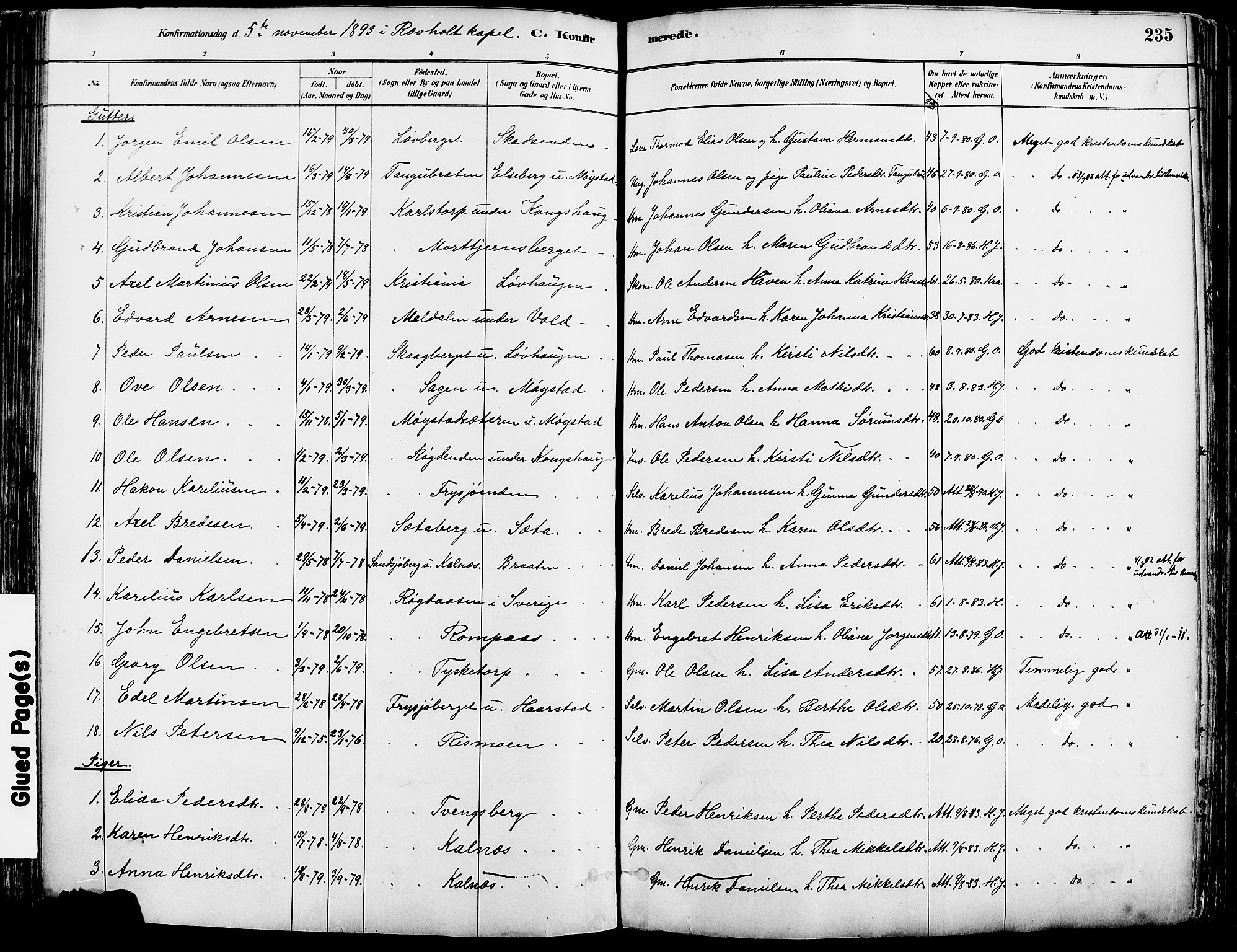 Grue prestekontor, SAH/PREST-036/H/Ha/Haa/L0012: Parish register (official) no. 12, 1881-1897, p. 235
