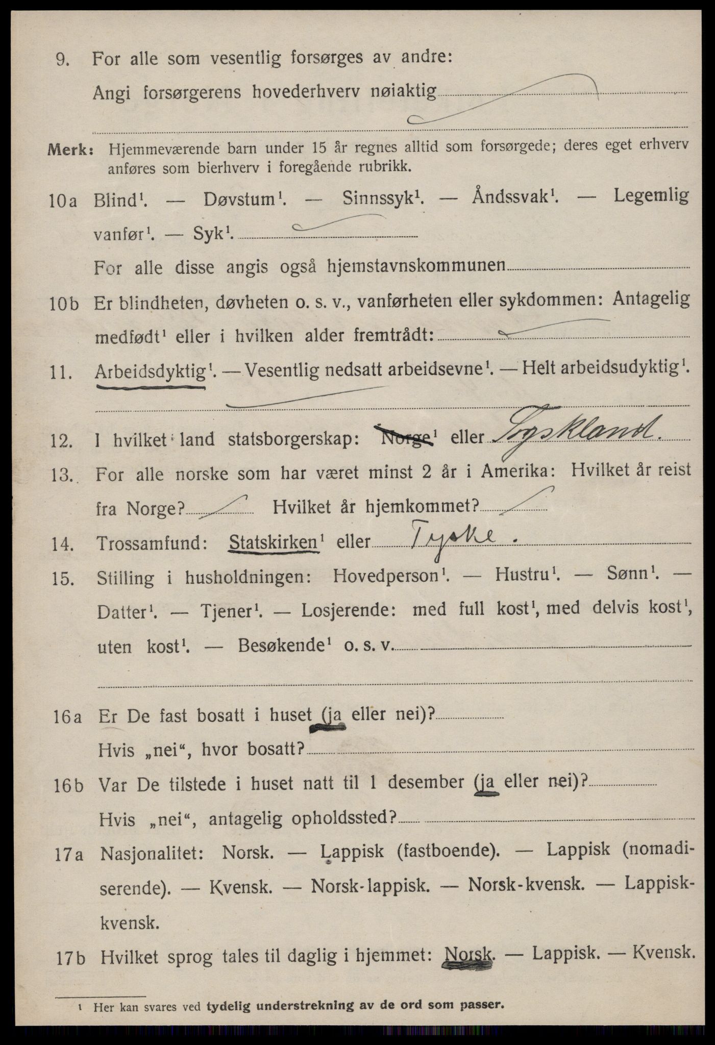 SAT, 1920 census for Strinda, 1920, p. 6737