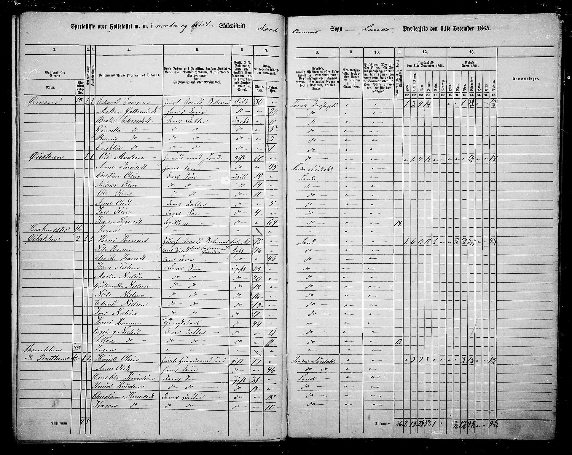 RA, 1865 census for Land, 1865, p. 16