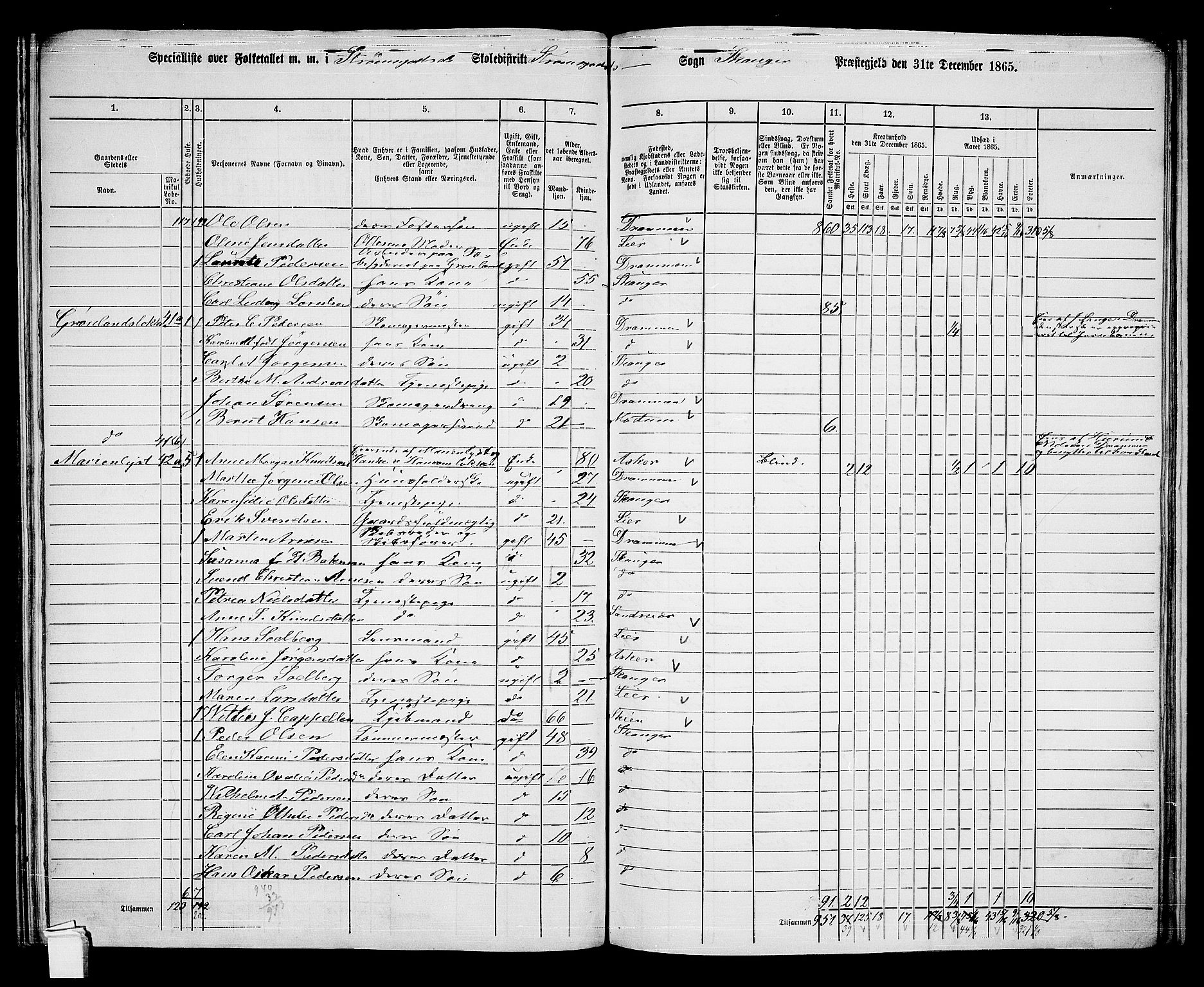 RA, 1865 census for Skoger, 1865, p. 148