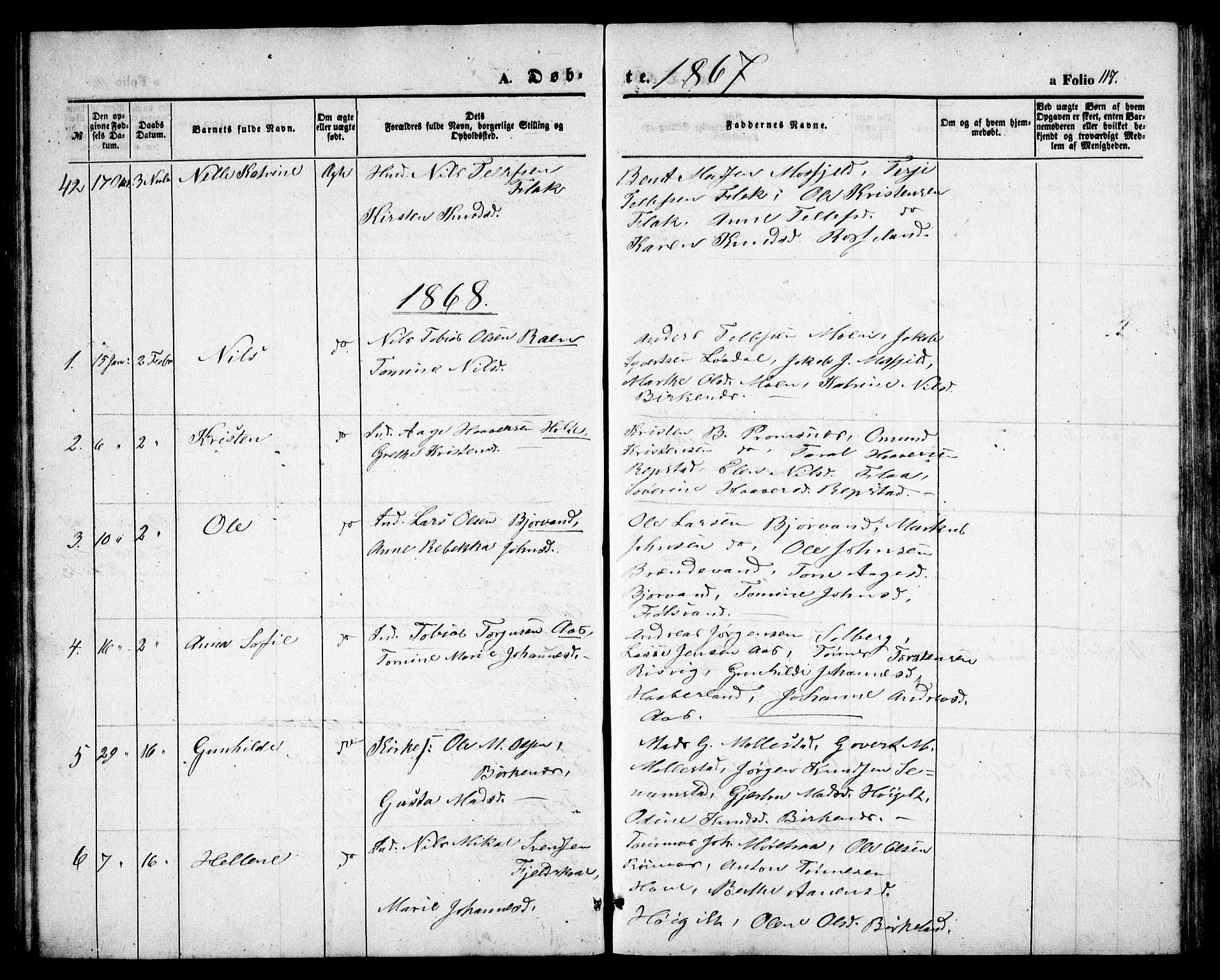 Birkenes sokneprestkontor, AV/SAK-1111-0004/F/Fb/L0002: Parish register (copy) no. B 2, 1849-1876, p. 117