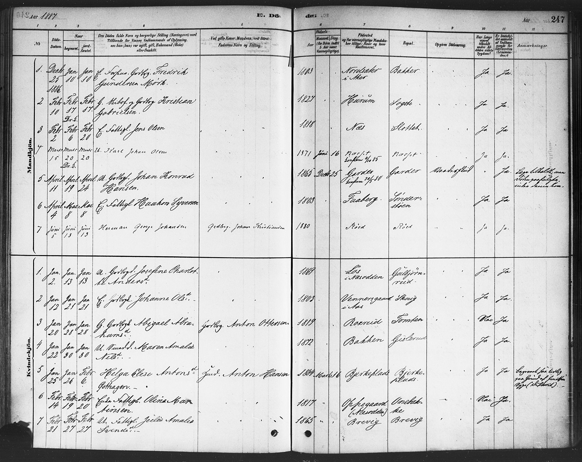 Drøbak prestekontor Kirkebøker, SAO/A-10142a/F/Fc/L0002: Parish register (official) no. III 2, 1878-1891, p. 247