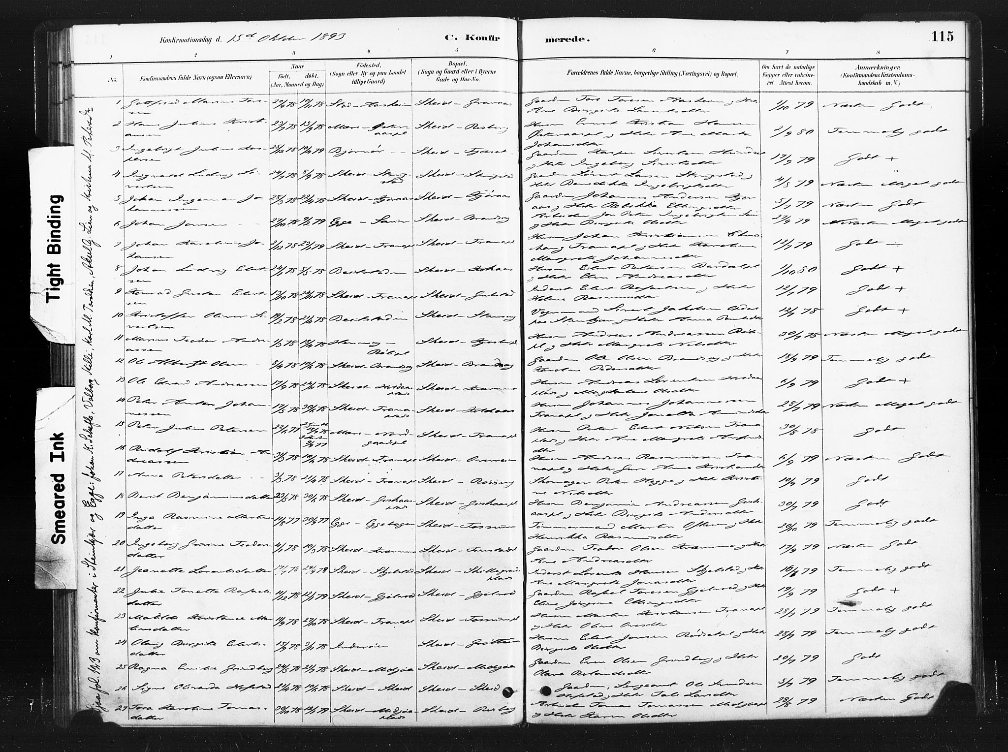 Ministerialprotokoller, klokkerbøker og fødselsregistre - Nord-Trøndelag, SAT/A-1458/736/L0361: Parish register (official) no. 736A01, 1884-1906, p. 115