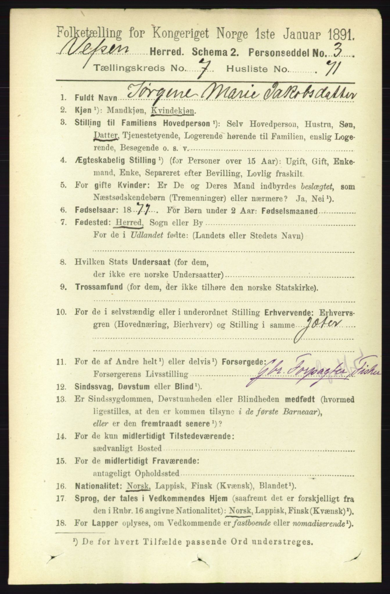 RA, 1891 census for 1824 Vefsn, 1891, p. 4127