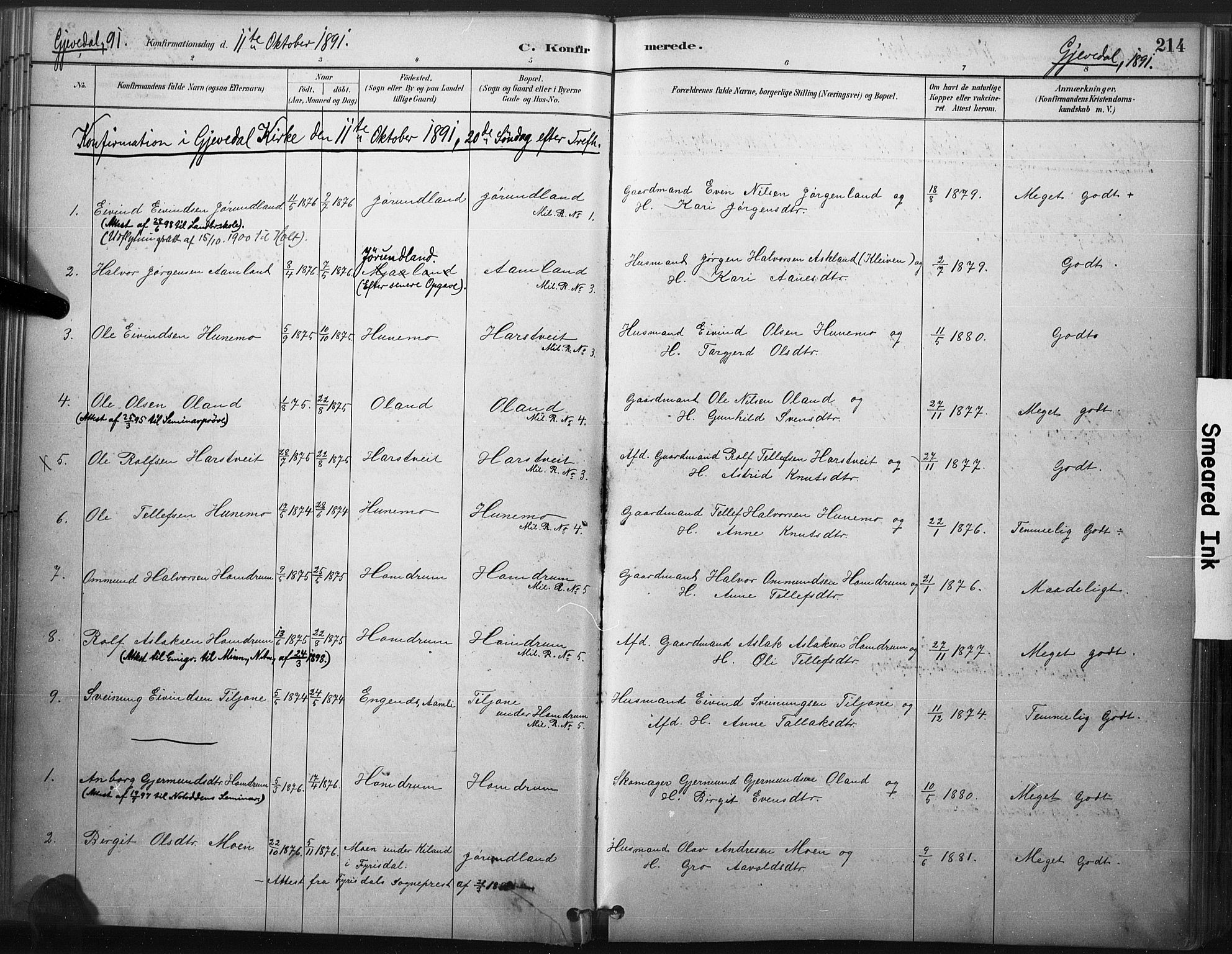 Åmli sokneprestkontor, SAK/1111-0050/F/Fa/Fac/L0010: Parish register (official) no. A 10 /2, 1885-1899, p. 214