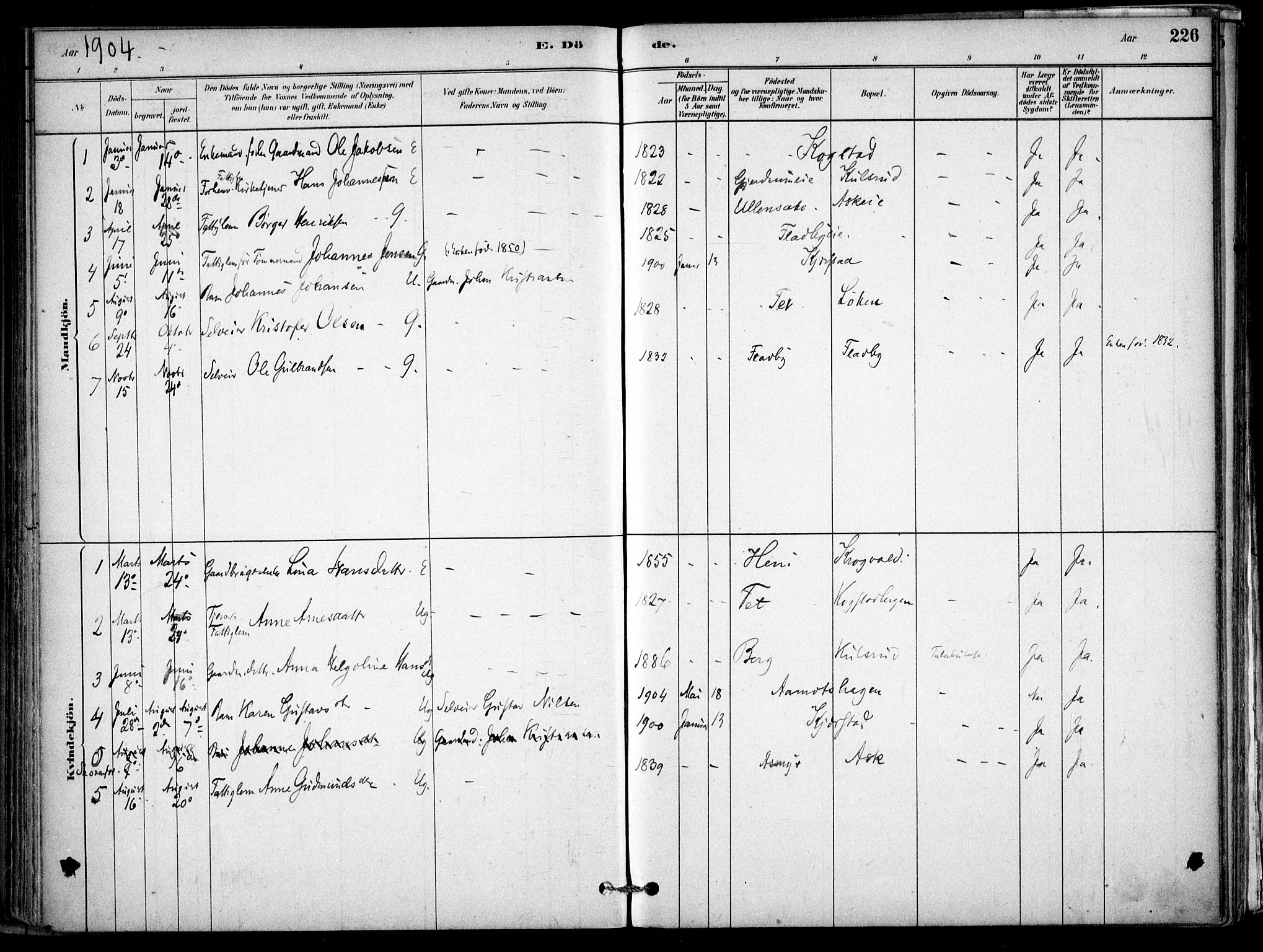 Gjerdrum prestekontor Kirkebøker, AV/SAO-A-10412b/F/Fb/L0001: Parish register (official) no. II 1, 1881-1921, p. 226