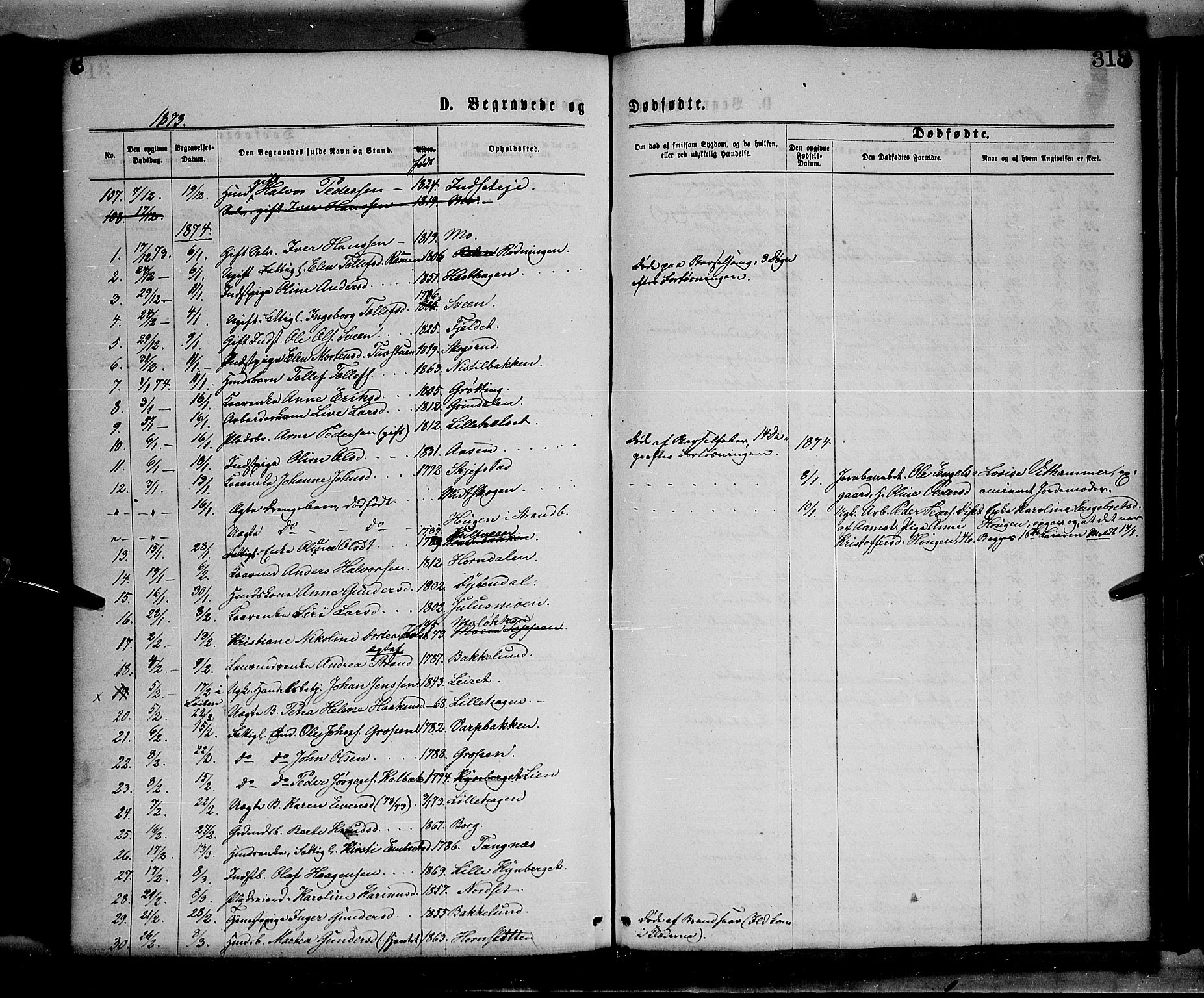 Elverum prestekontor, AV/SAH-PREST-044/H/Ha/Haa/L0011: Parish register (official) no. 11, 1869-1879, p. 318