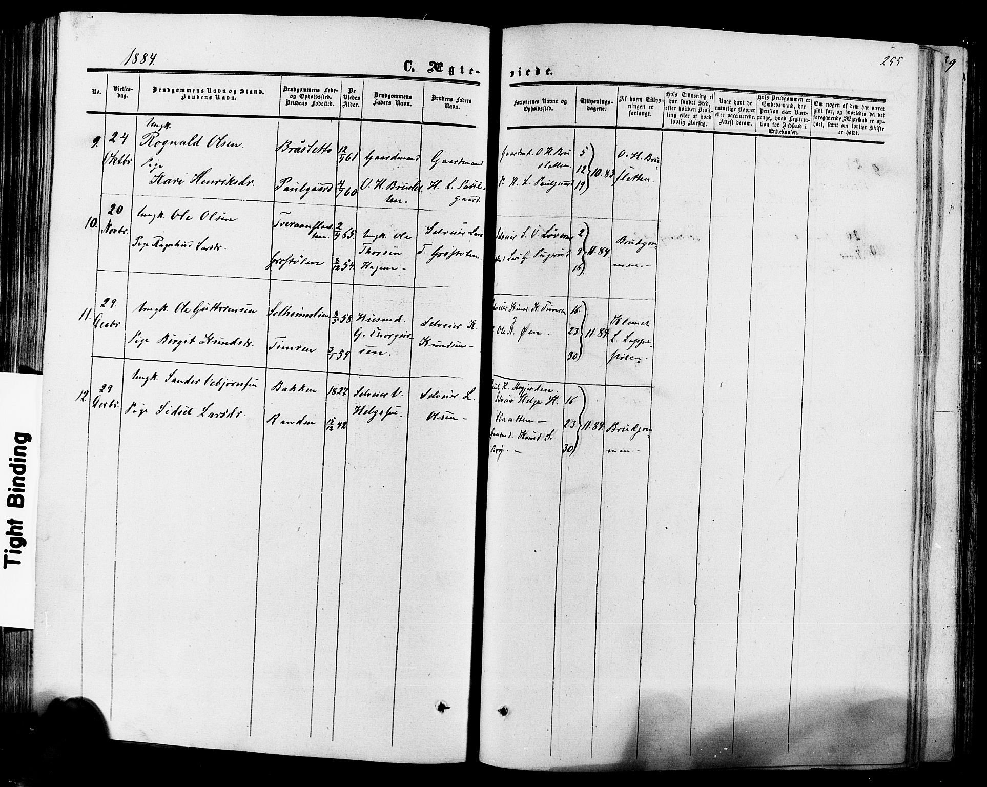 Hol kirkebøker, SAKO/A-227/F/Fa/L0002: Parish register (official) no. I 2, 1870-1886, p. 255