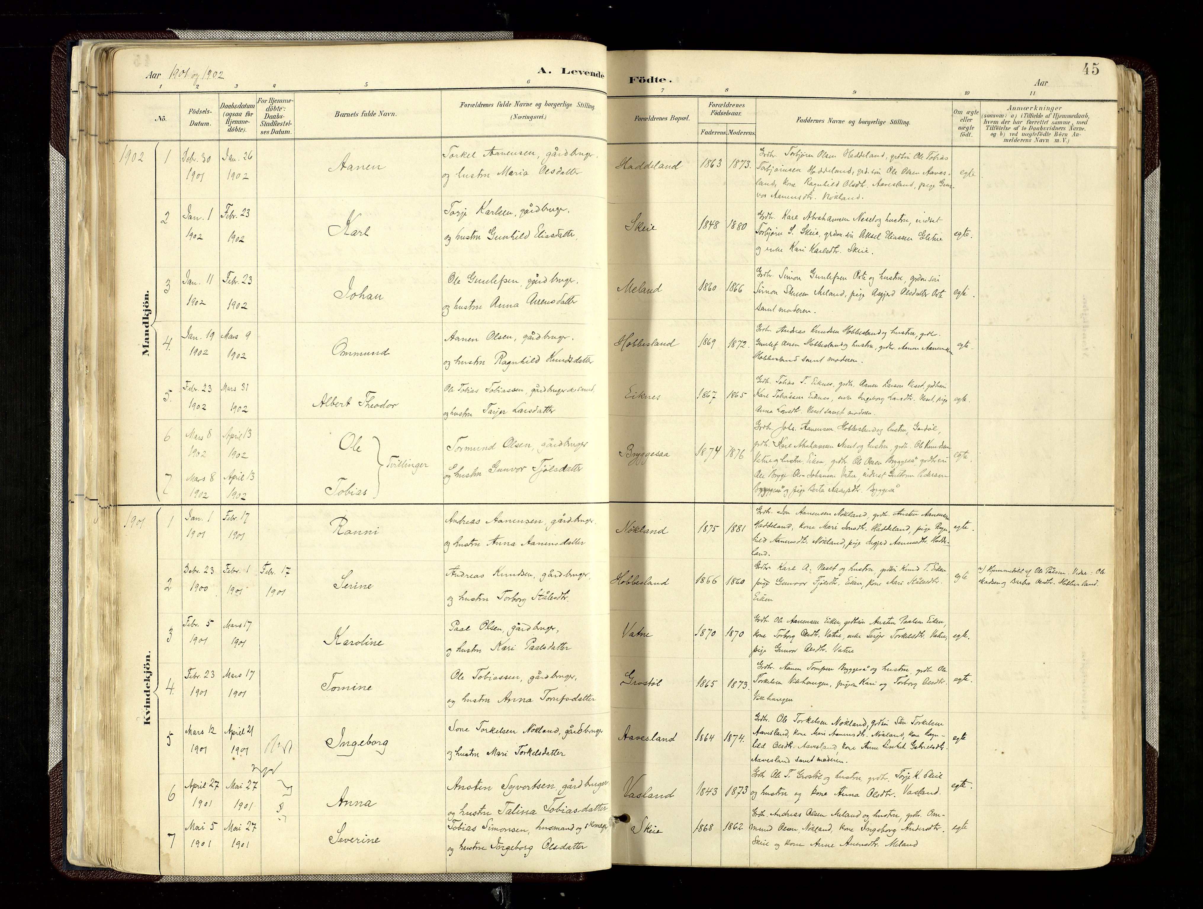 Hægebostad sokneprestkontor, SAK/1111-0024/F/Fa/Fab/L0004: Parish register (official) no. A 4, 1887-1929, p. 45