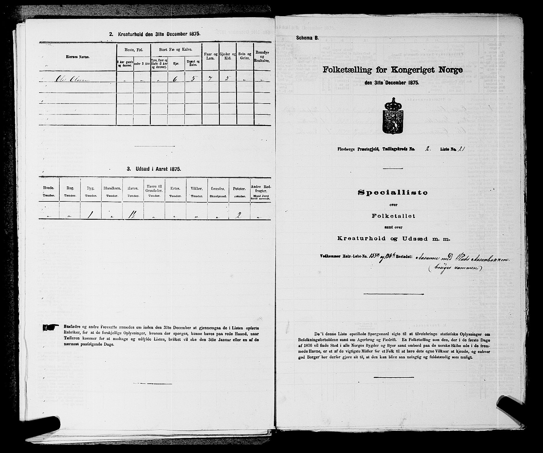 SAKO, 1875 census for 0631P Flesberg, 1875, p. 521