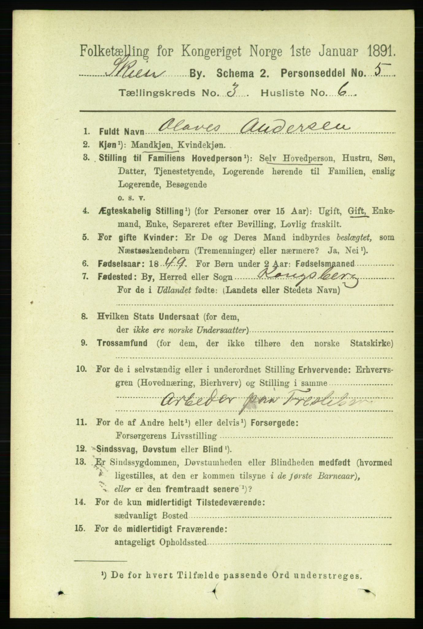 RA, 1891 census for 0806 Skien, 1891, p. 2519