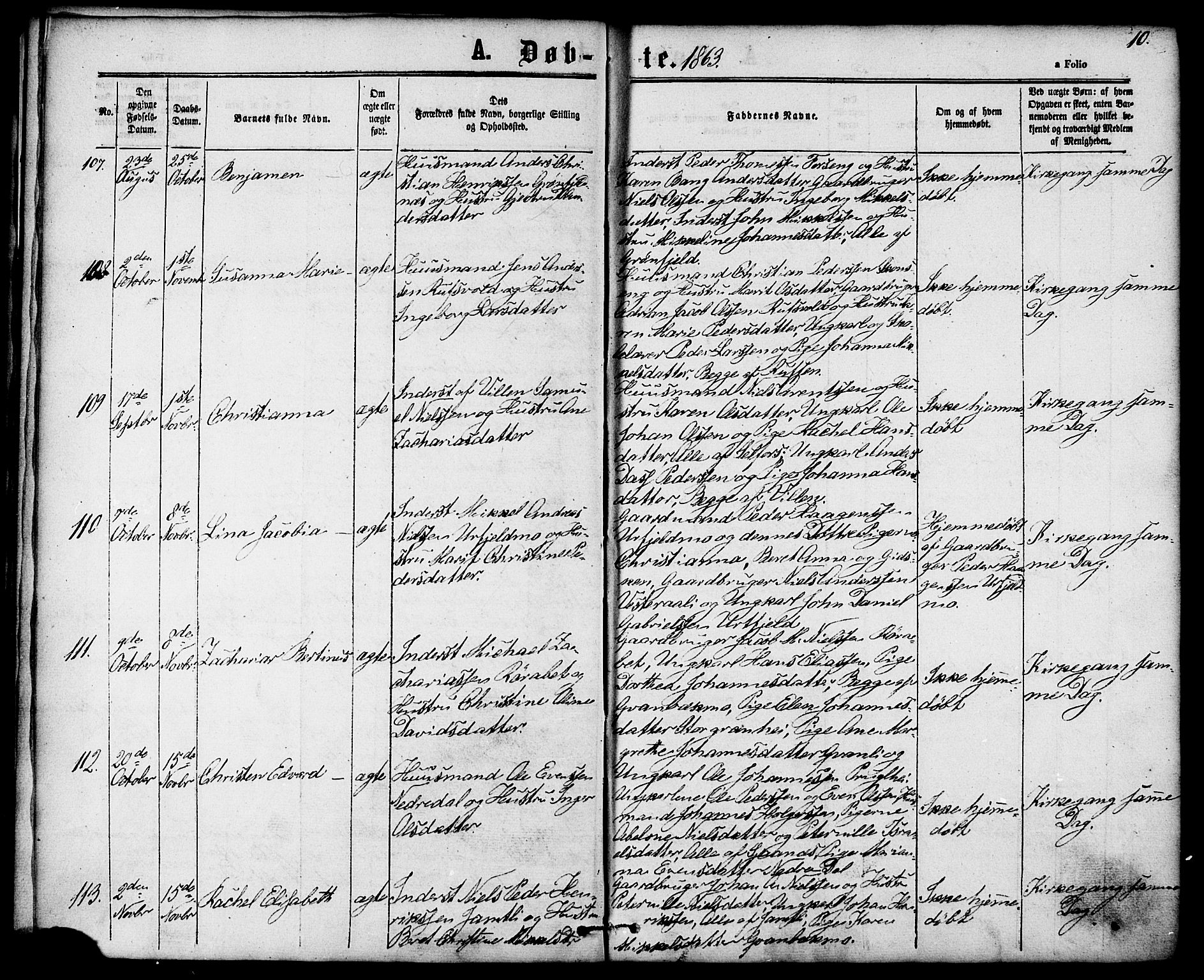 Ministerialprotokoller, klokkerbøker og fødselsregistre - Nordland, AV/SAT-A-1459/827/L0393: Parish register (official) no. 827A05, 1863-1883, p. 10