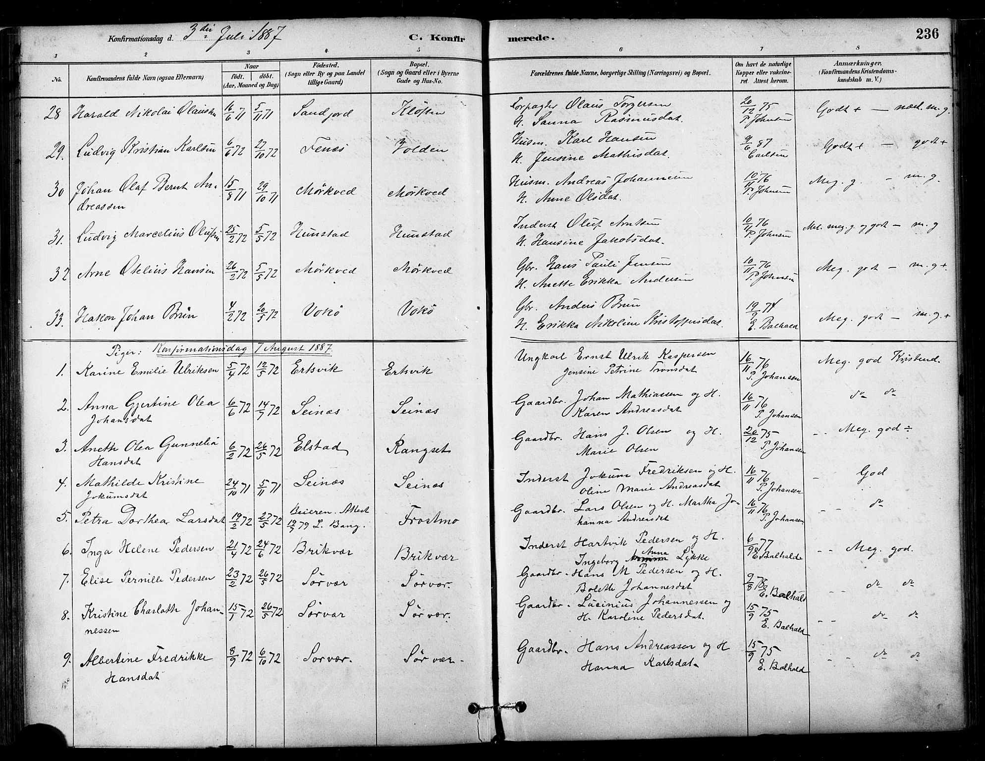 Ministerialprotokoller, klokkerbøker og fødselsregistre - Nordland, SAT/A-1459/802/L0054: Parish register (official) no. 802A01, 1879-1893, p. 236