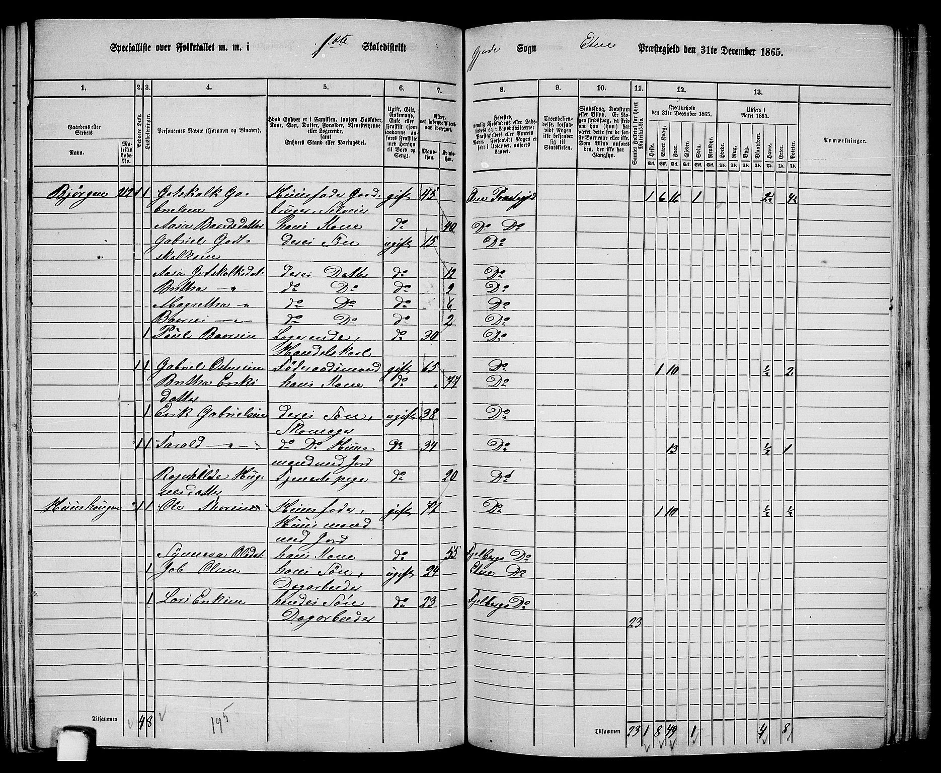 RA, 1865 census for Etne, 1865, p. 155