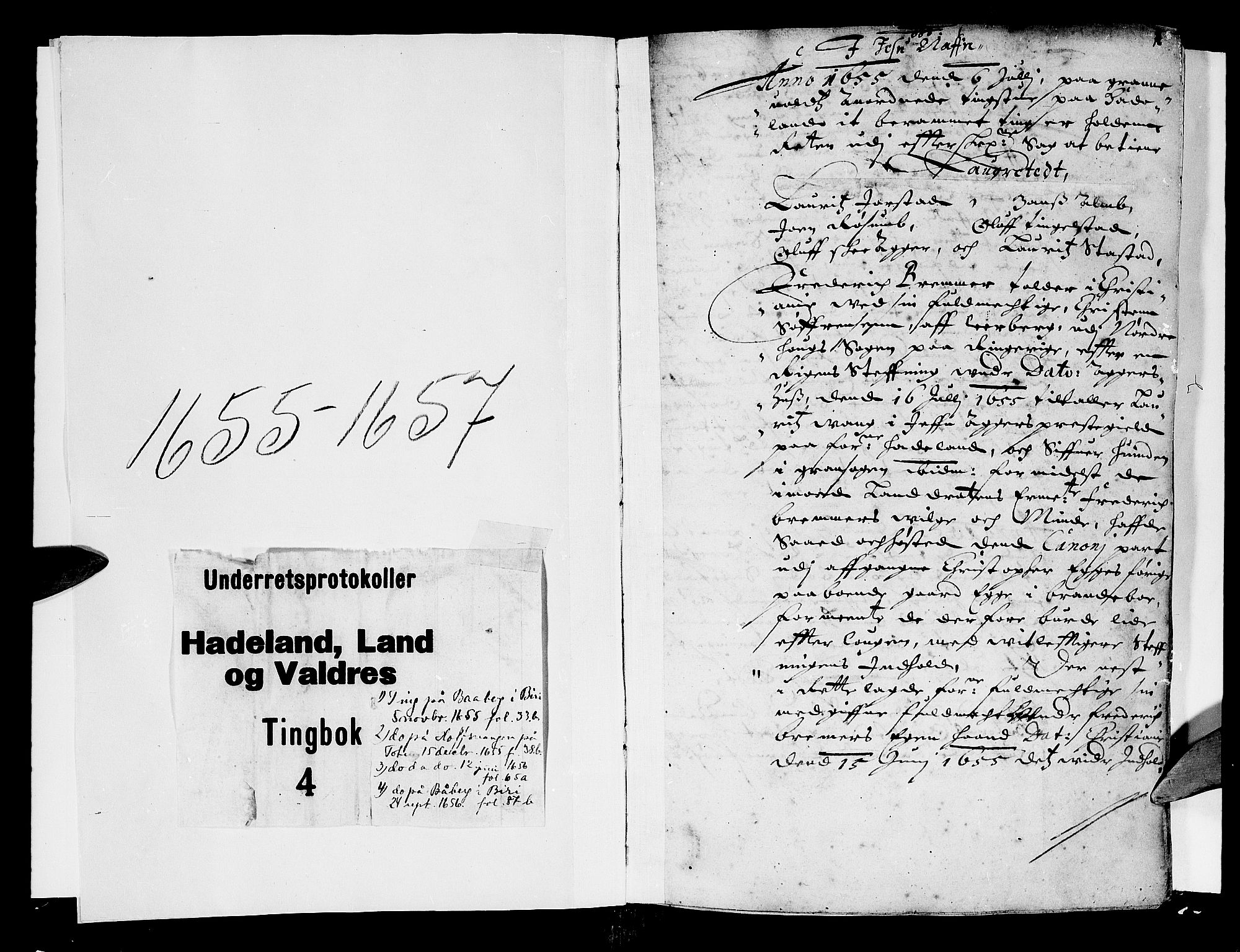 Hadeland, Land og Valdres sorenskriveri, AV/SAH-TING-028/G/Gb/L0004: Tingbok, 1655-1657, p. 0b-1a