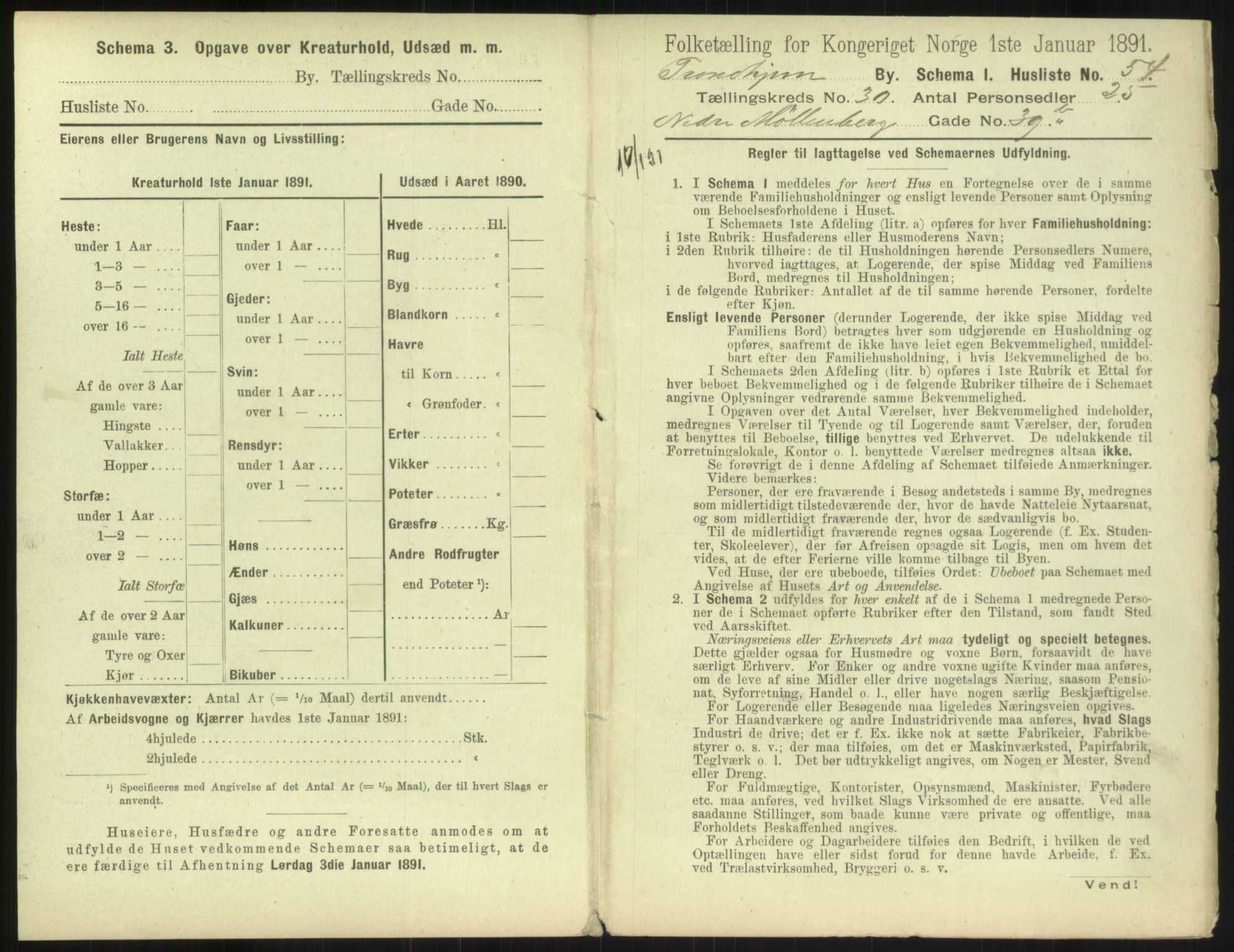 RA, 1891 census for 1601 Trondheim, 1891, p. 2300