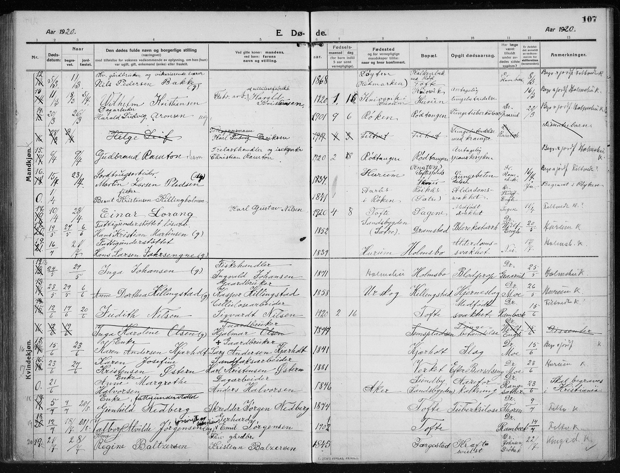 Hurum kirkebøker, AV/SAKO-A-229/F/Fa/L0017: Parish register (official) no. 17, 1910-1925, p. 107