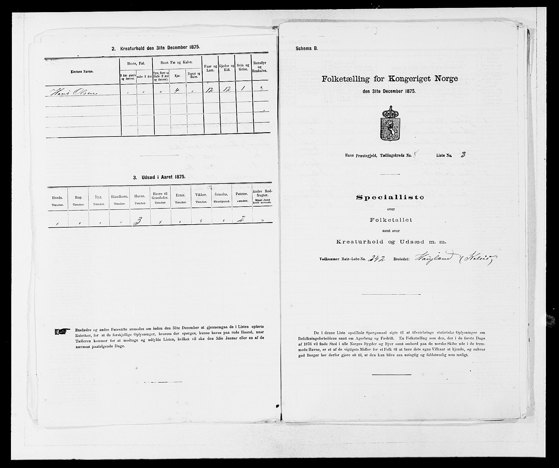 SAB, 1875 census for 1250P Haus, 1875, p. 868