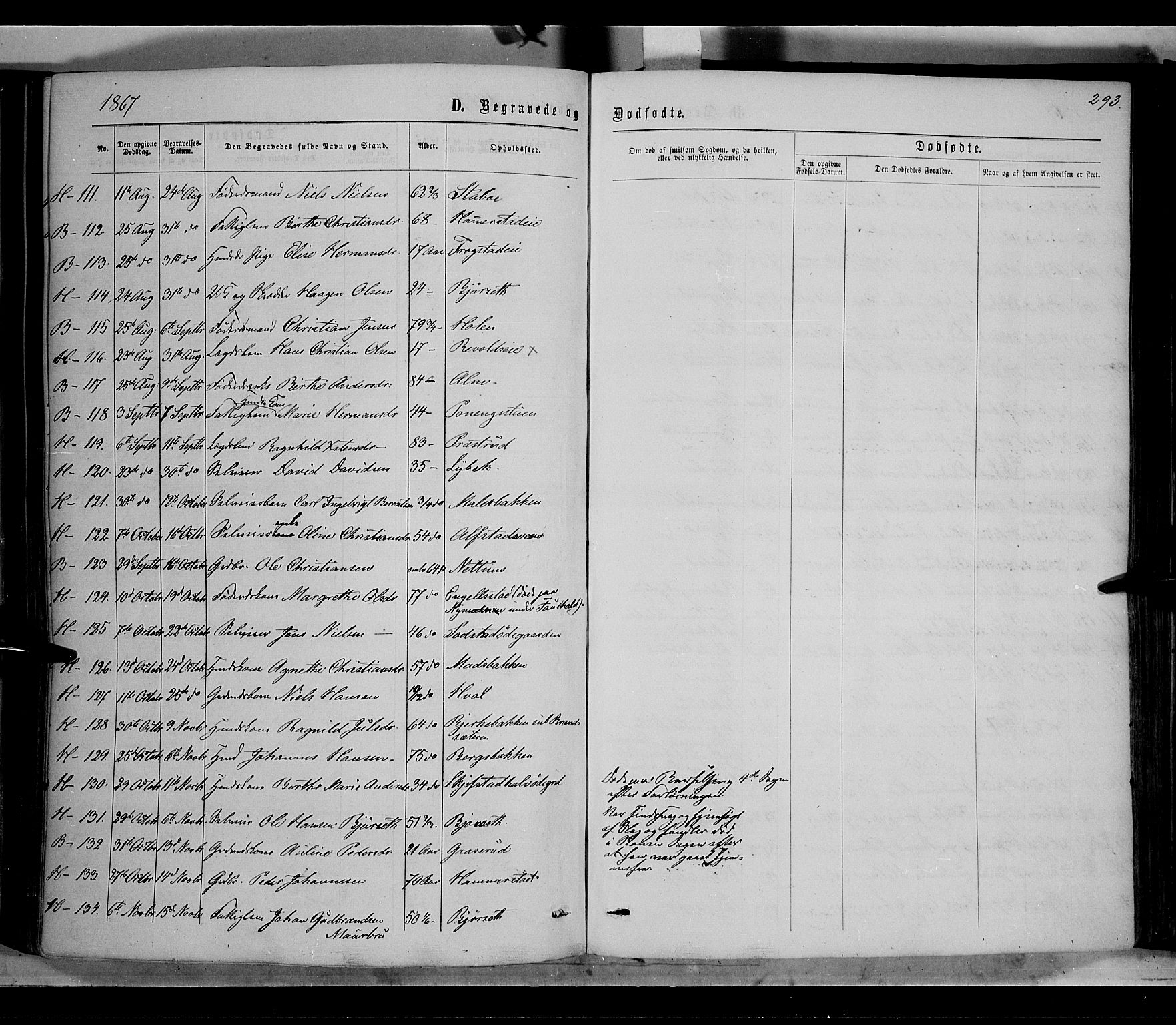 Østre Toten prestekontor, SAH/PREST-104/H/Ha/Haa/L0005: Parish register (official) no. 5, 1866-1877, p. 293