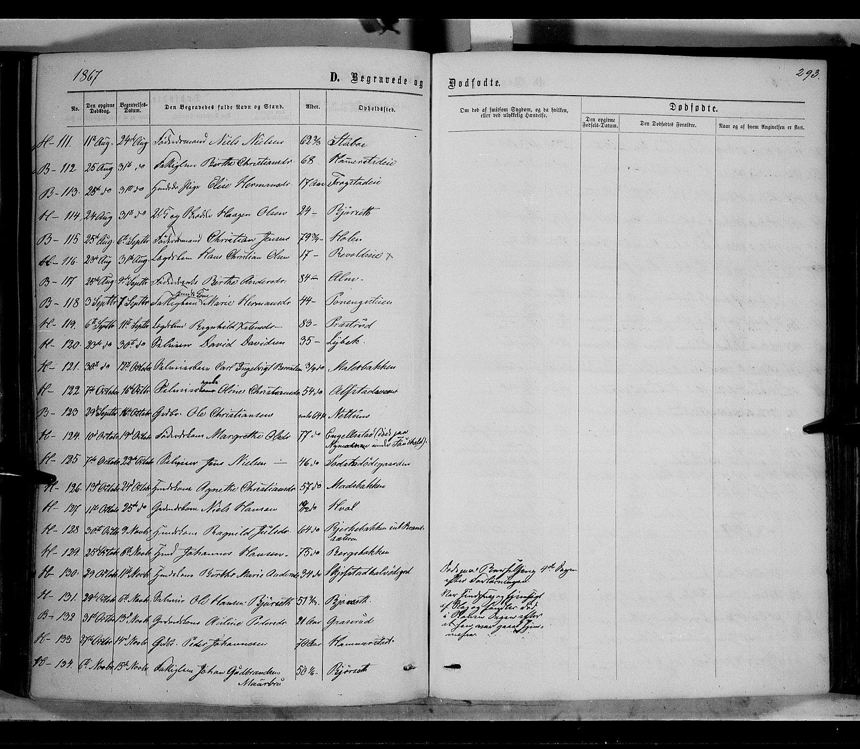 Østre Toten prestekontor, AV/SAH-PREST-104/H/Ha/Haa/L0005: Parish register (official) no. 5, 1866-1877, p. 293