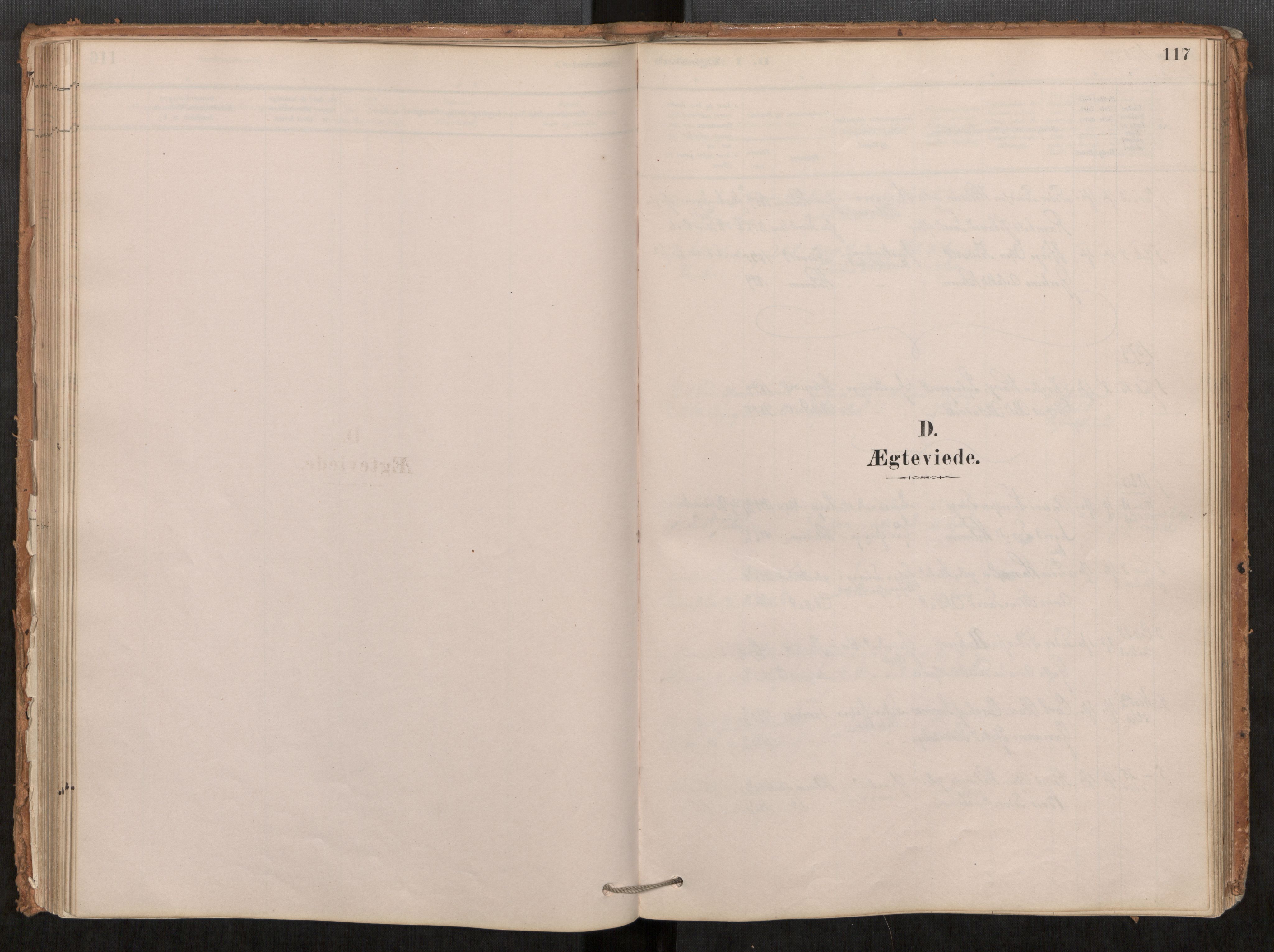 Ministerialprotokoller, klokkerbøker og fødselsregistre - Møre og Romsdal, SAT/A-1454/548/L0615: Parish register (official) no. 548A02, 1878-1906, p. 117