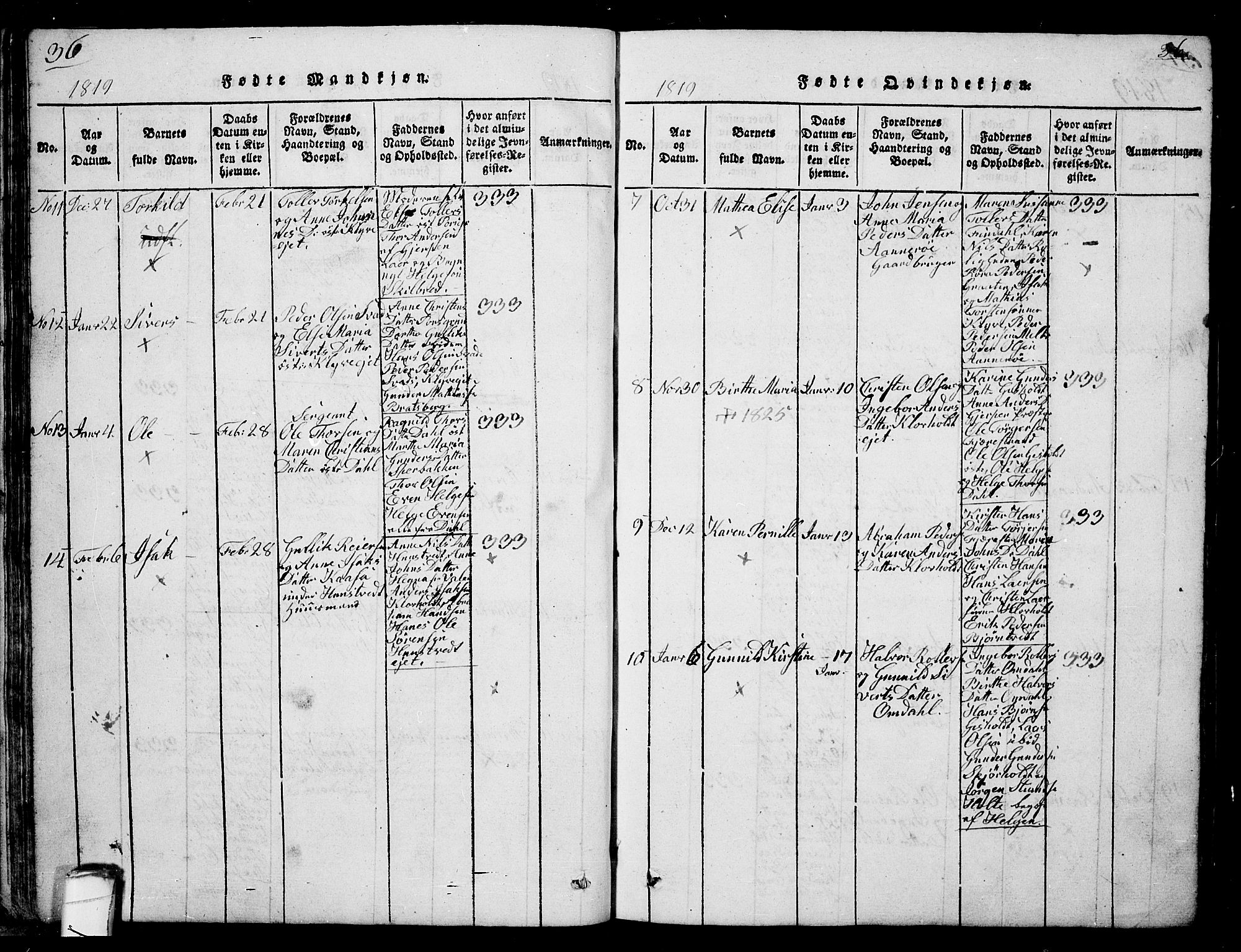 Solum kirkebøker, AV/SAKO-A-306/G/Ga/L0001: Parish register (copy) no. I 1, 1814-1833, p. 36