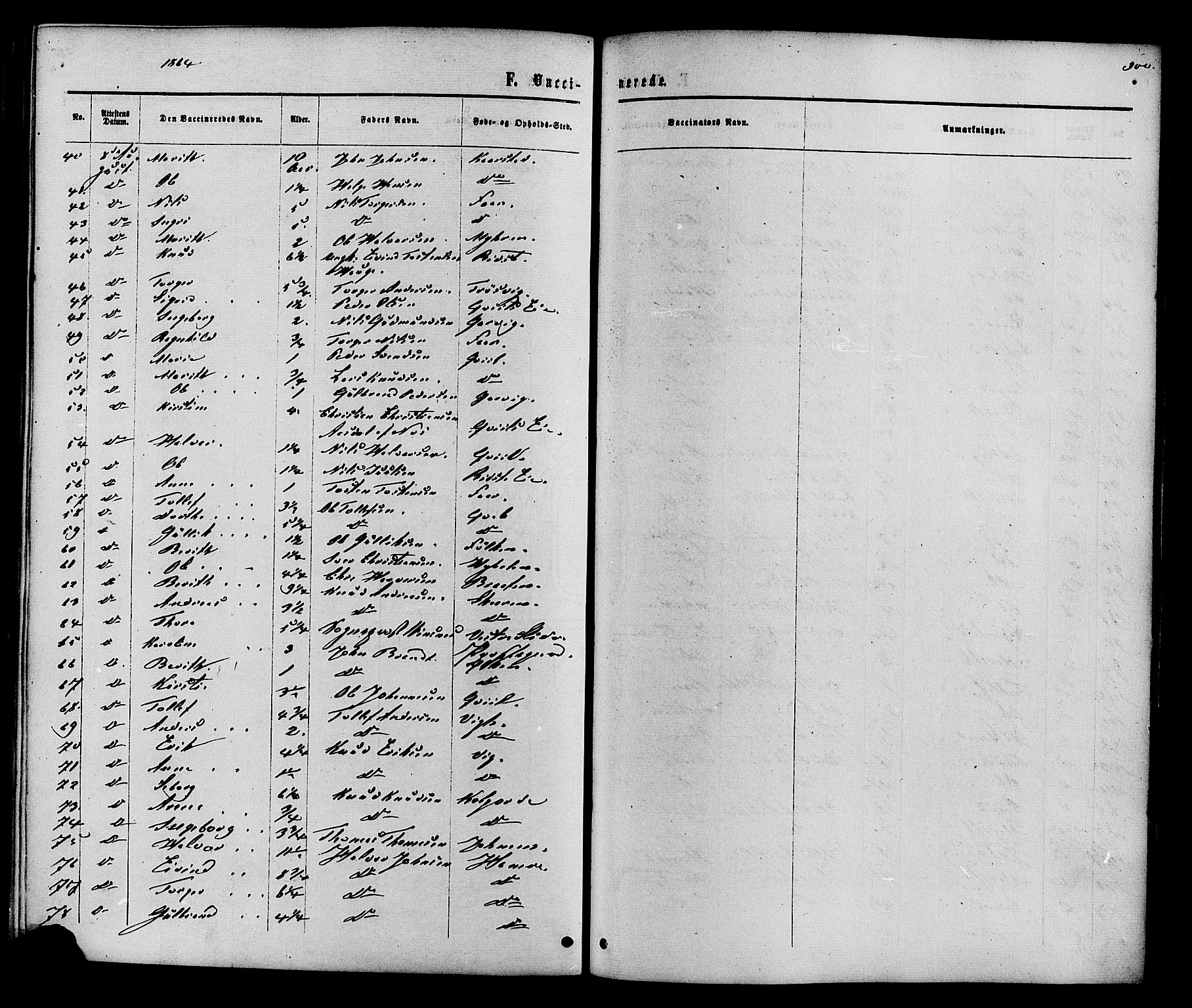 Vestre Slidre prestekontor, SAH/PREST-136/H/Ha/Haa/L0003: Parish register (official) no. 3, 1865-1880, p. 300
