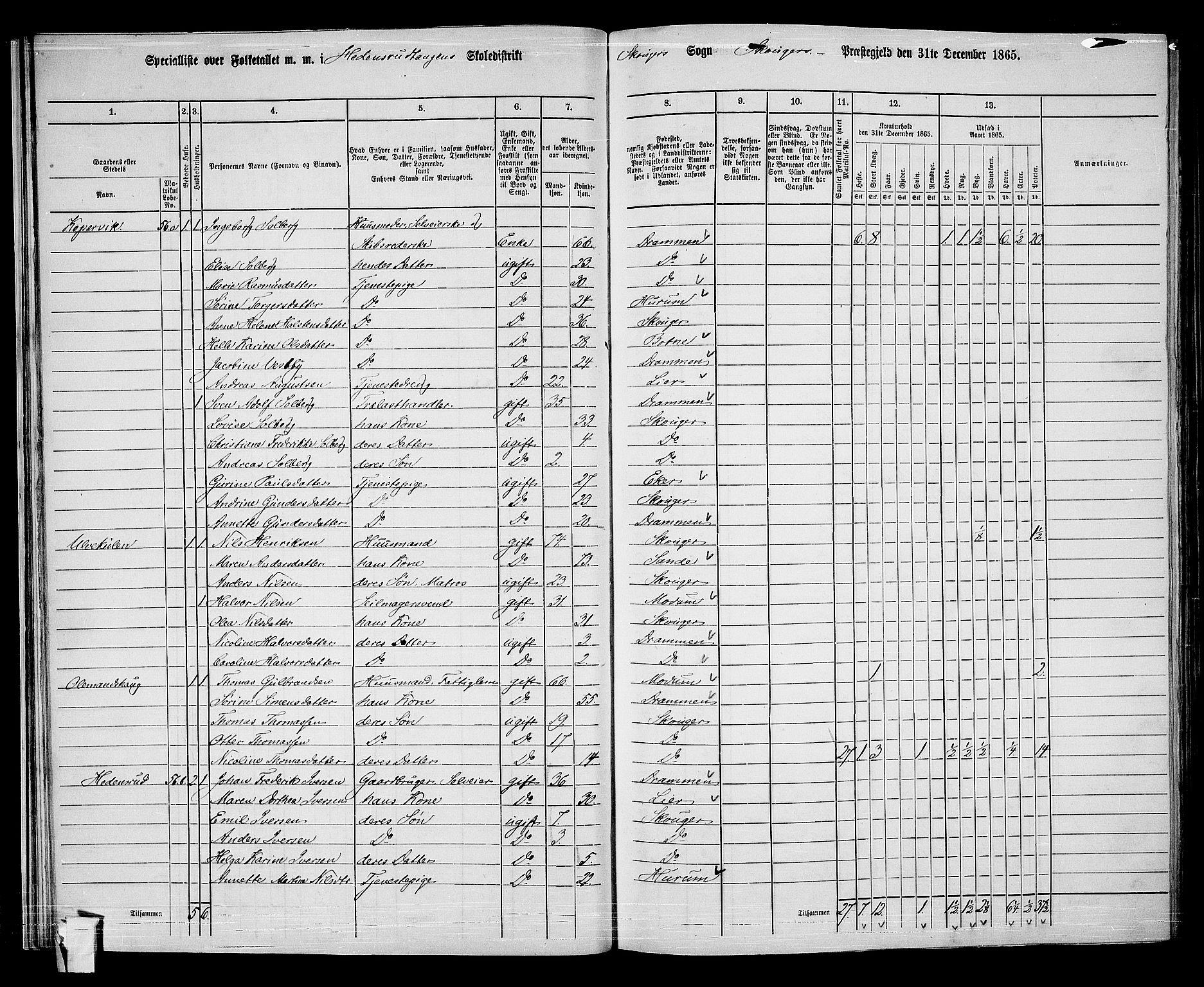 RA, 1865 census for Skoger, 1865, p. 34