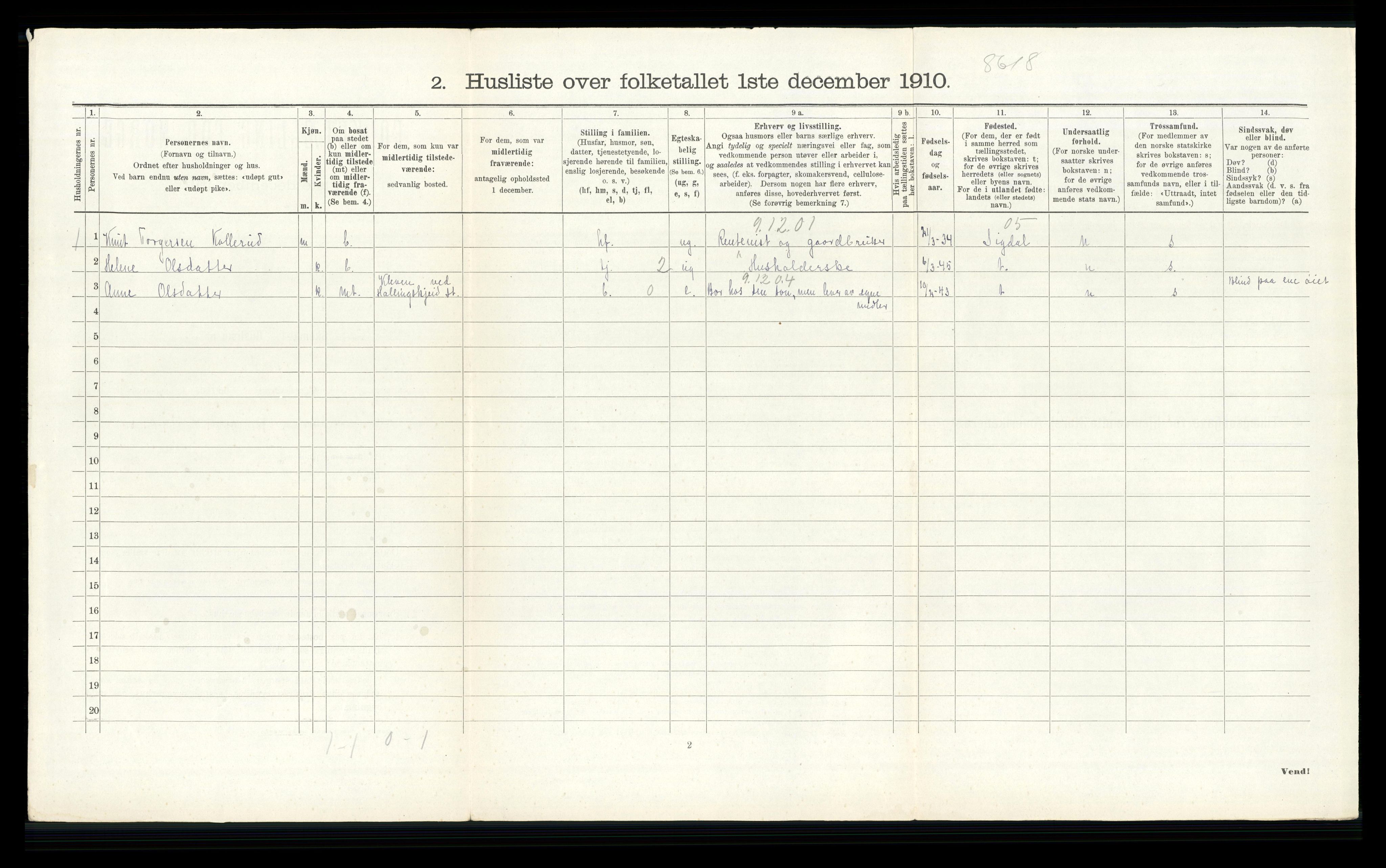 RA, 1910 census for Modum, 1910, p. 3209