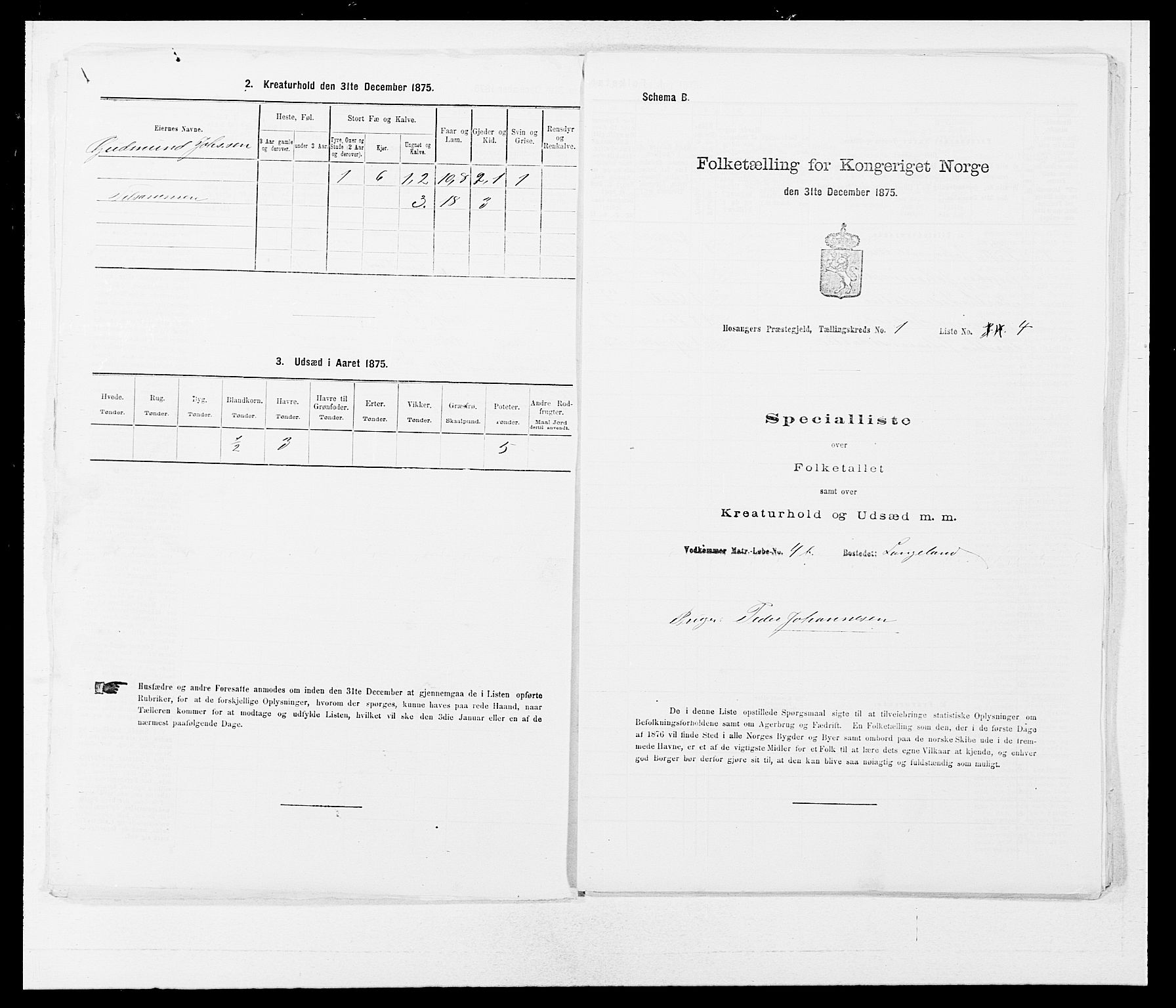 SAB, 1875 census for 1253P Hosanger, 1875, p. 43