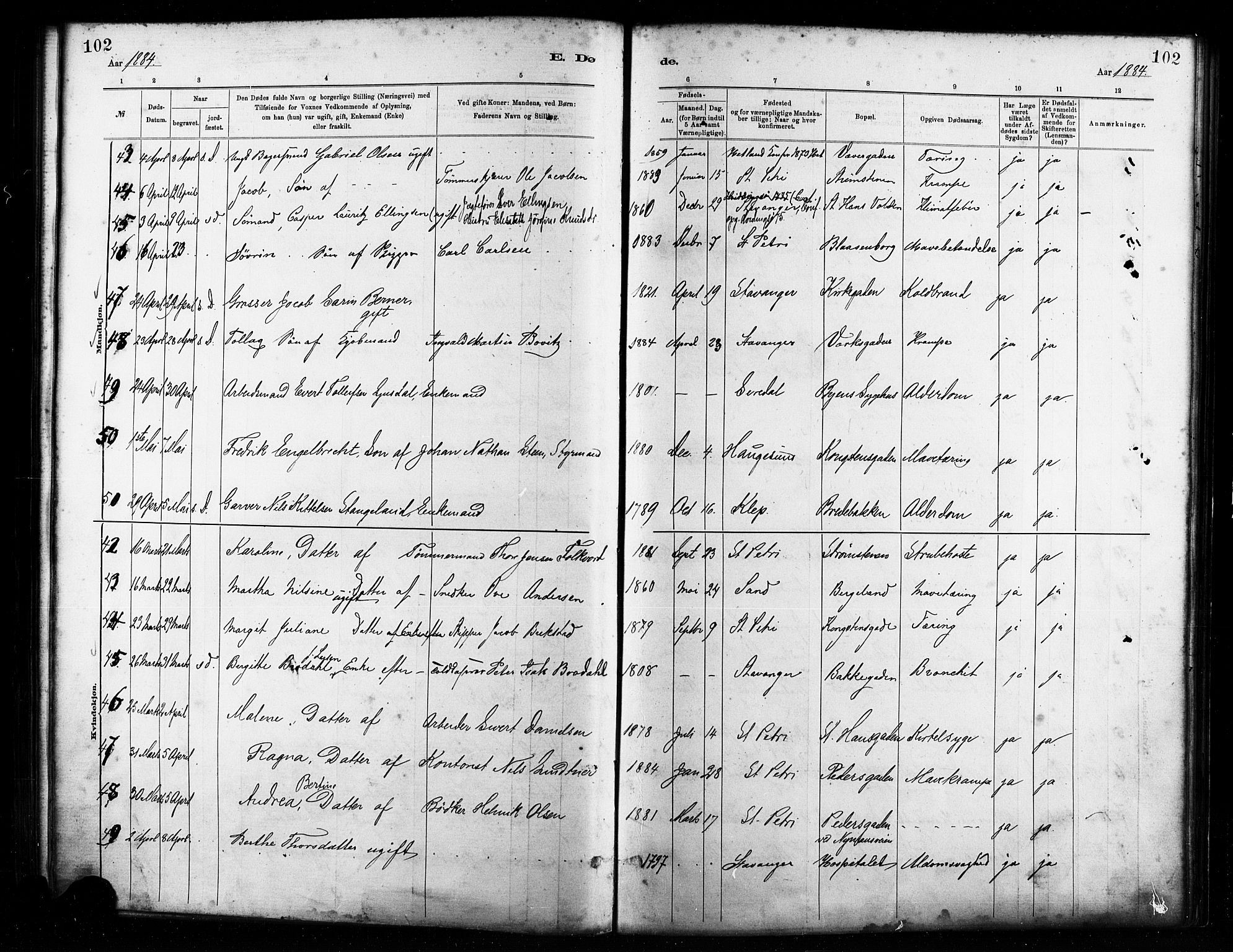 St. Petri sokneprestkontor, AV/SAST-A-101813/001/30/30BA/L0017: Parish register (official) no. A 17, 1879-1895, p. 102