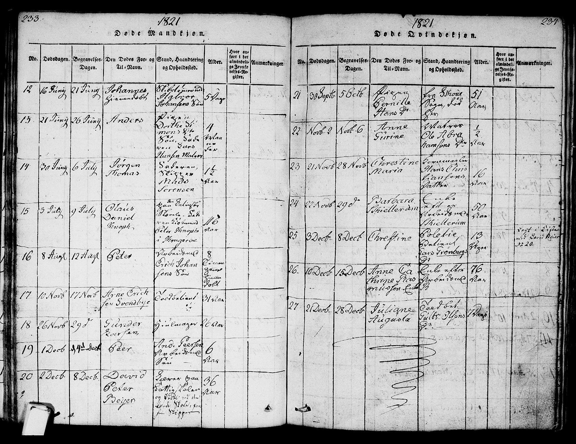 Strømsø kirkebøker, AV/SAKO-A-246/F/Fa/L0011: Parish register (official) no. I 11, 1815-1829, p. 233-234